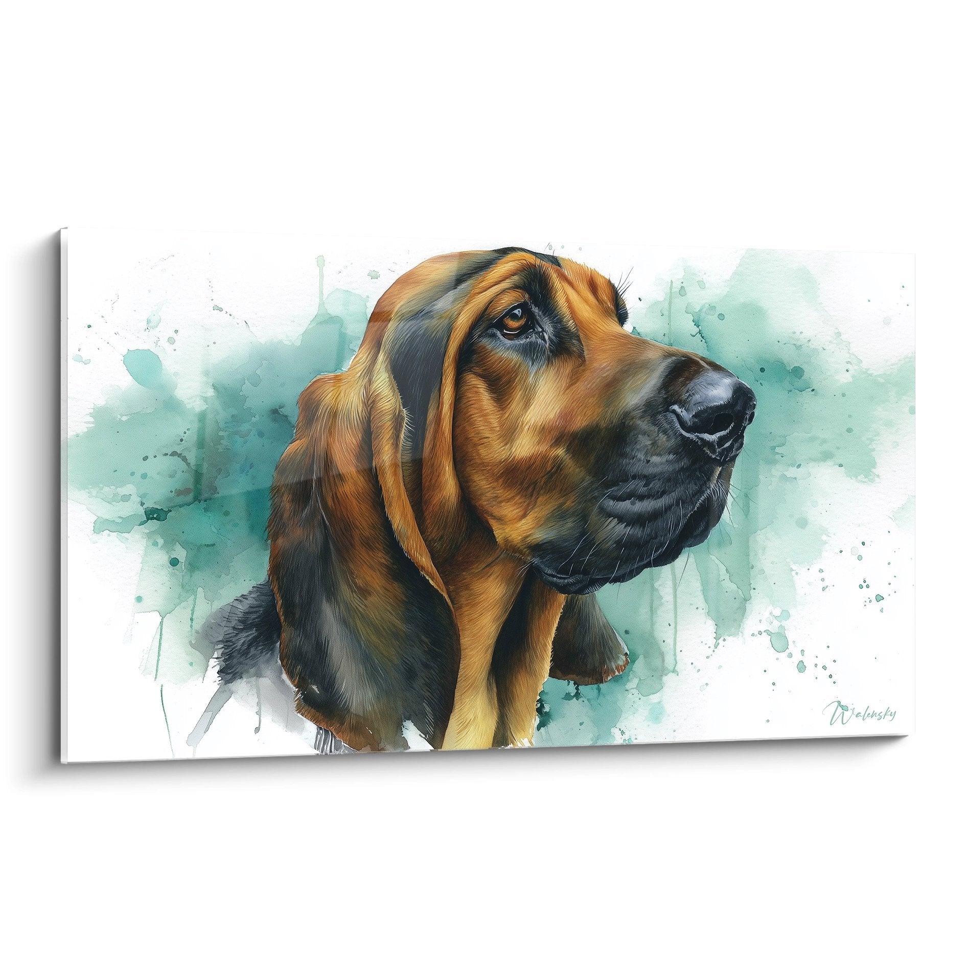 Portrait aquarelle Bloodhound roux regard noble sur fond eclaboussures turquoise art animalier contemporain