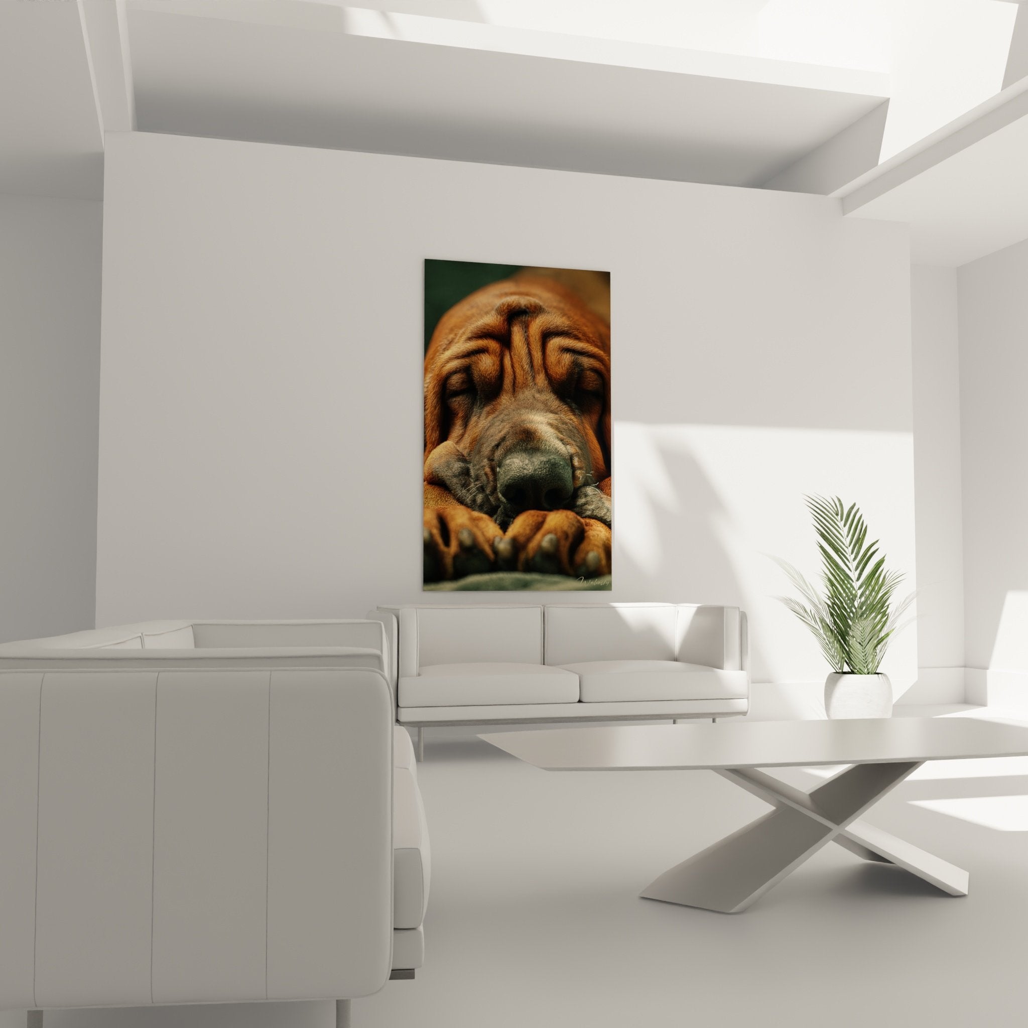 Gros plan portrait Bloodhound pelage bronze détaillé texture réaliste museau noir premier plan