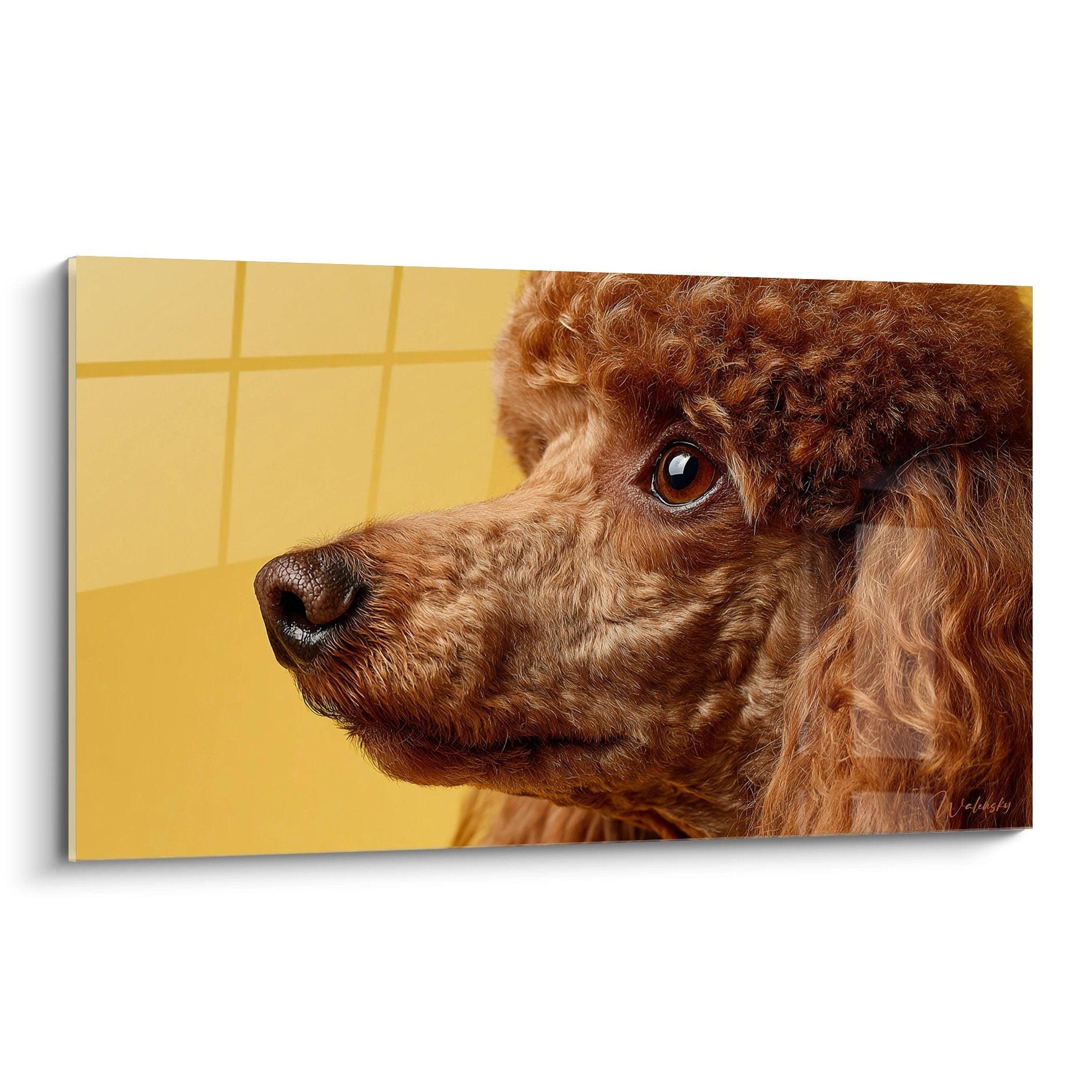 Portrait de caniche roux aux boucles dorées sur fond jaune, regard expressif et pelage détaillé