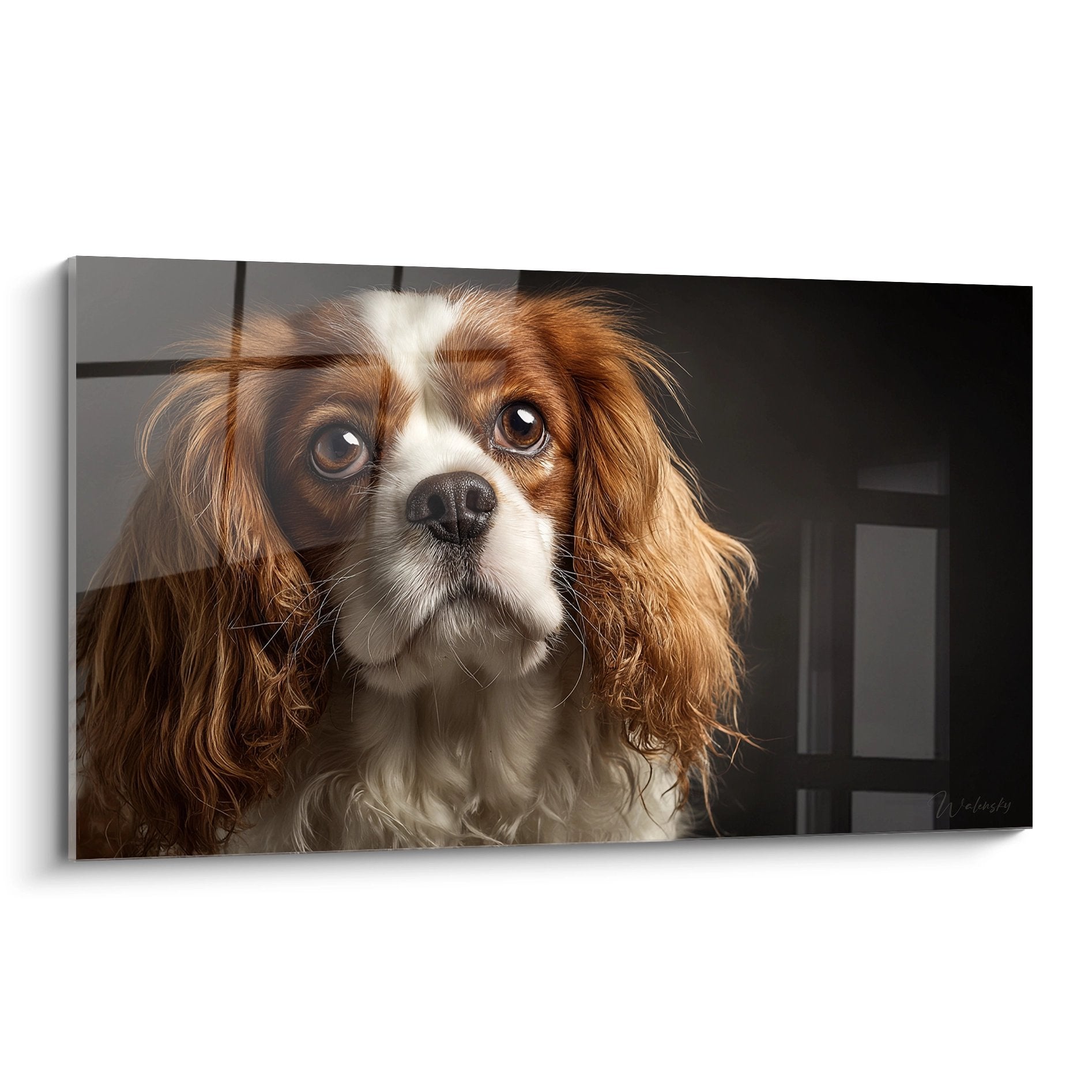 Portrait expressif Cavalier King Charles aux tons roux cuivrés et blancs sur fond sombre tableau mural décoratif