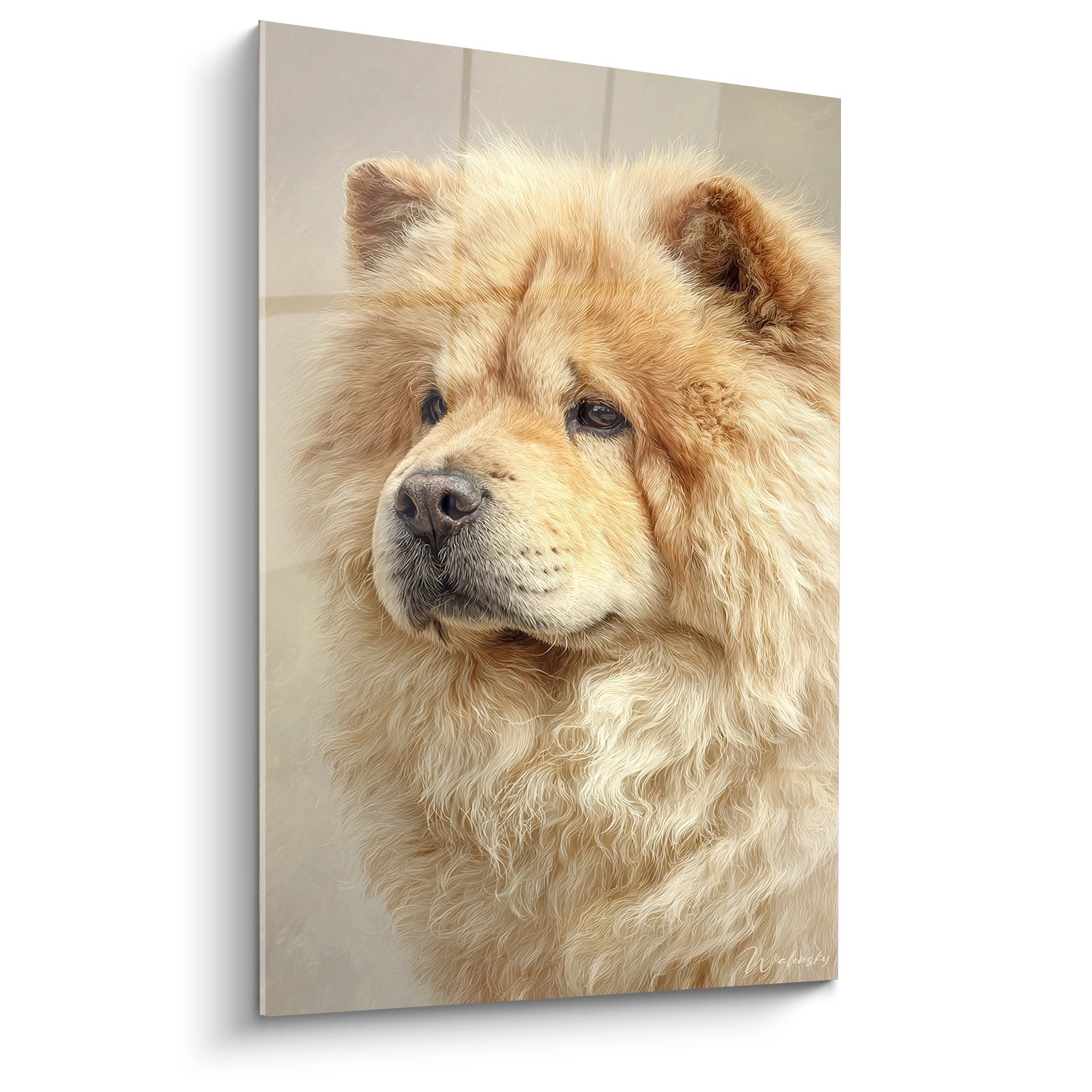 Portrait realiste chien Chow Chow fourrure doree regard melancolique fond beige neutre lumiere douce
