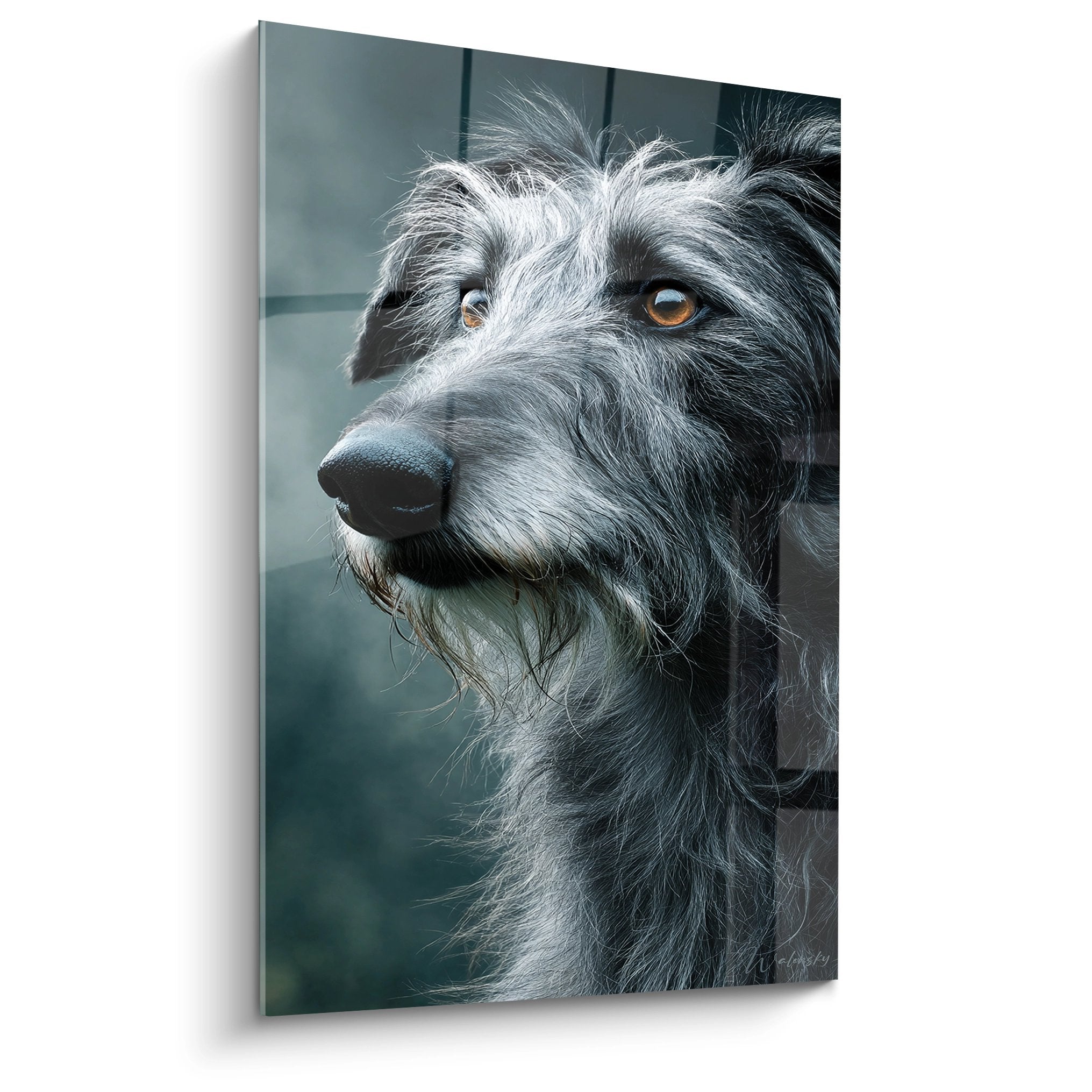 portrait deerhound gris aux yeux dores regard noble pelage soyeux elegance naturelle art canin