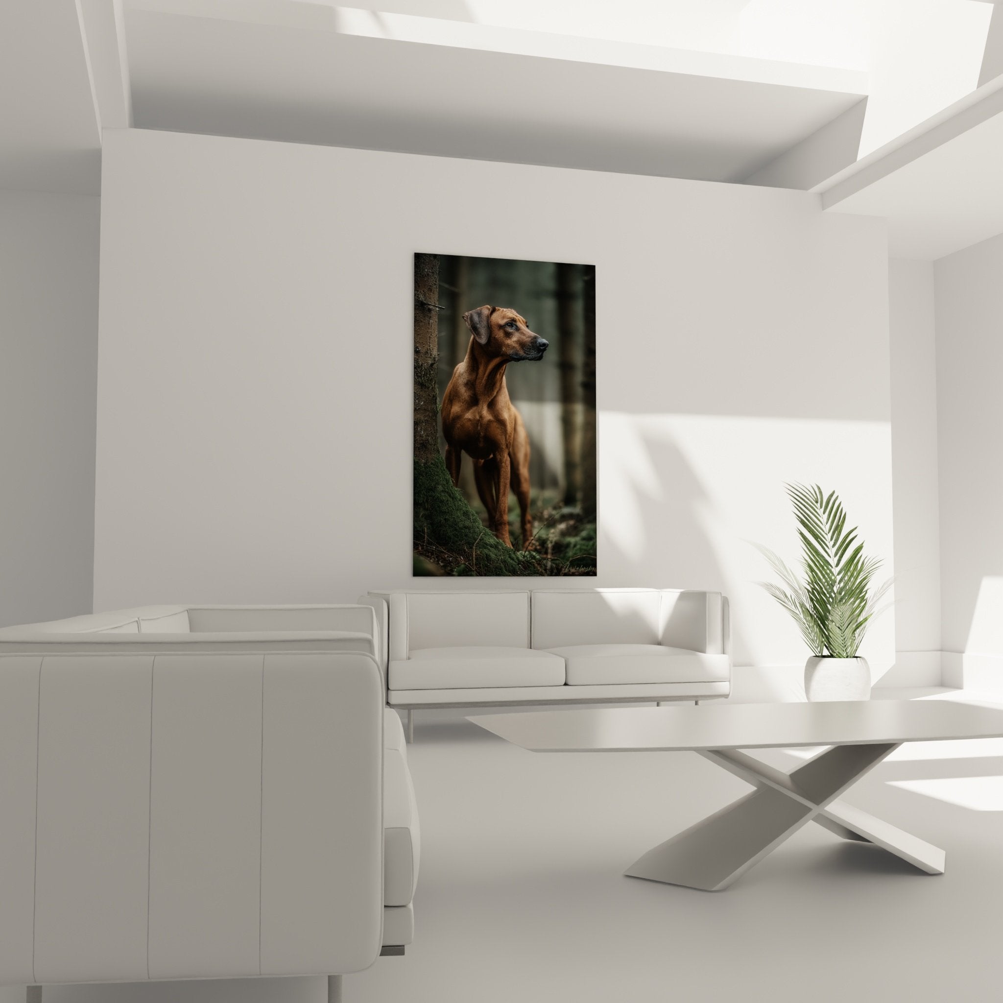 Détail portrait Rhodesian Ridgeback, pelage doré cuivré, expression noble et regard perçant, qualité artistique