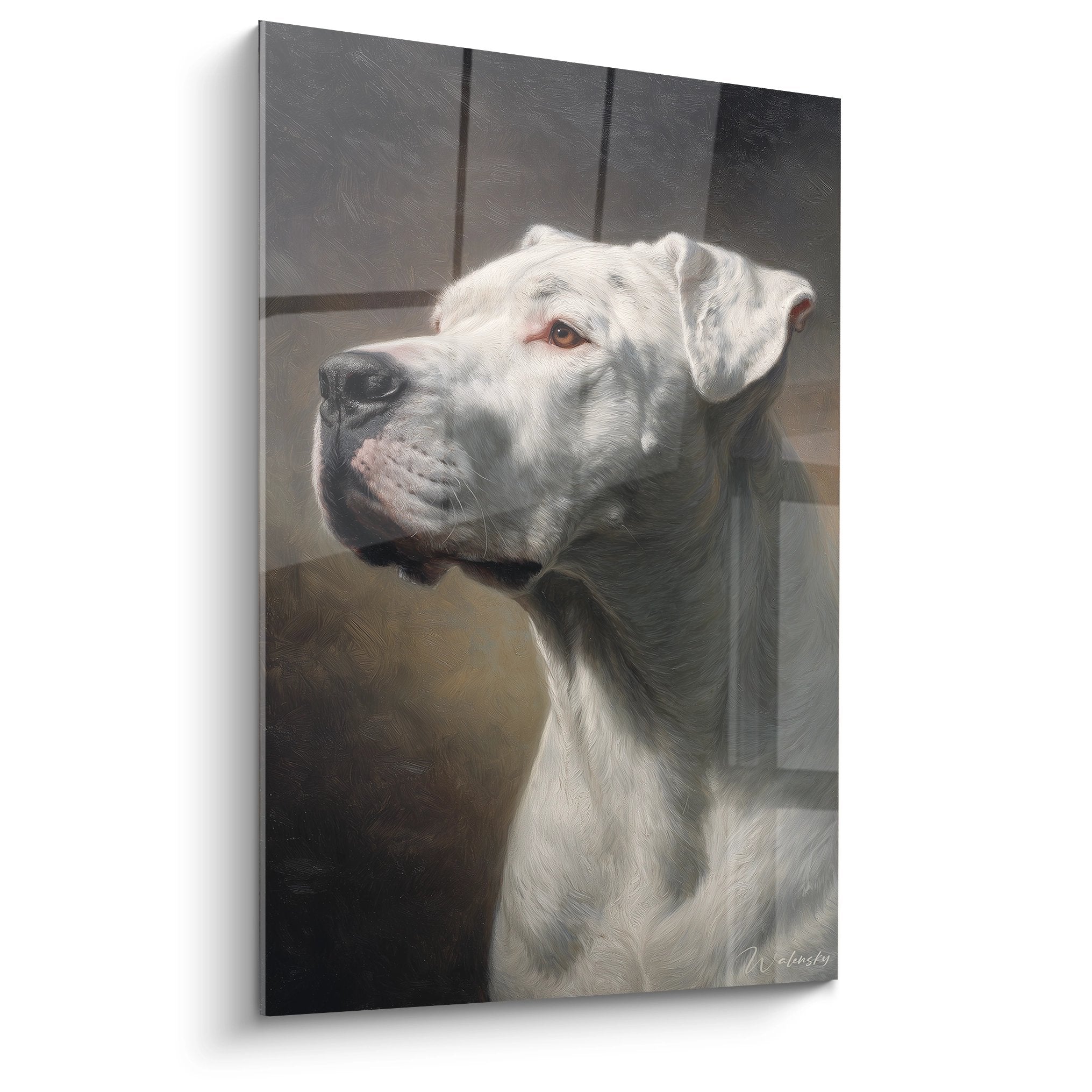 Ritratto artistico del dogo argentino bianco mantello immacolato sguardo ambrato contemplativo nobile espressione