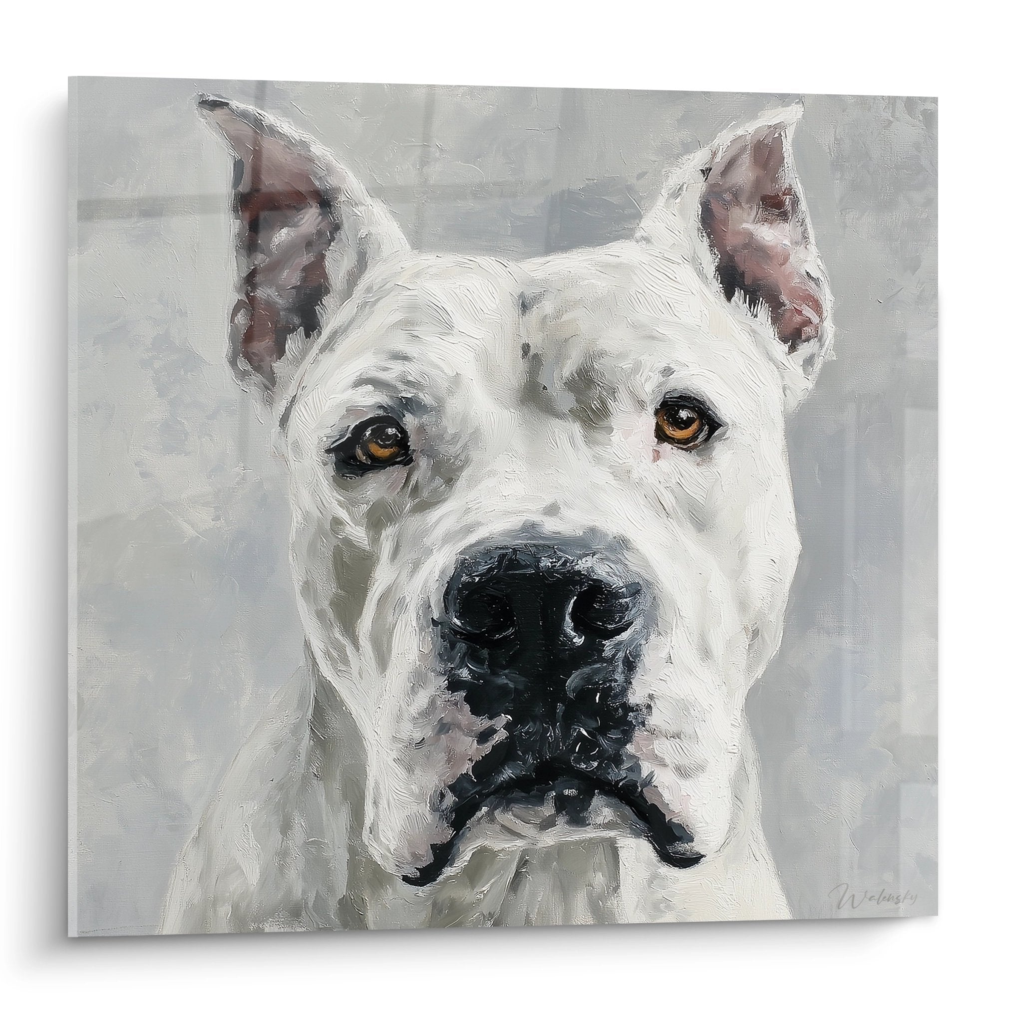 Portrait peint dogue argentin blanc aux yeux ambrés sur fond gris, technique empâtement, regard intense