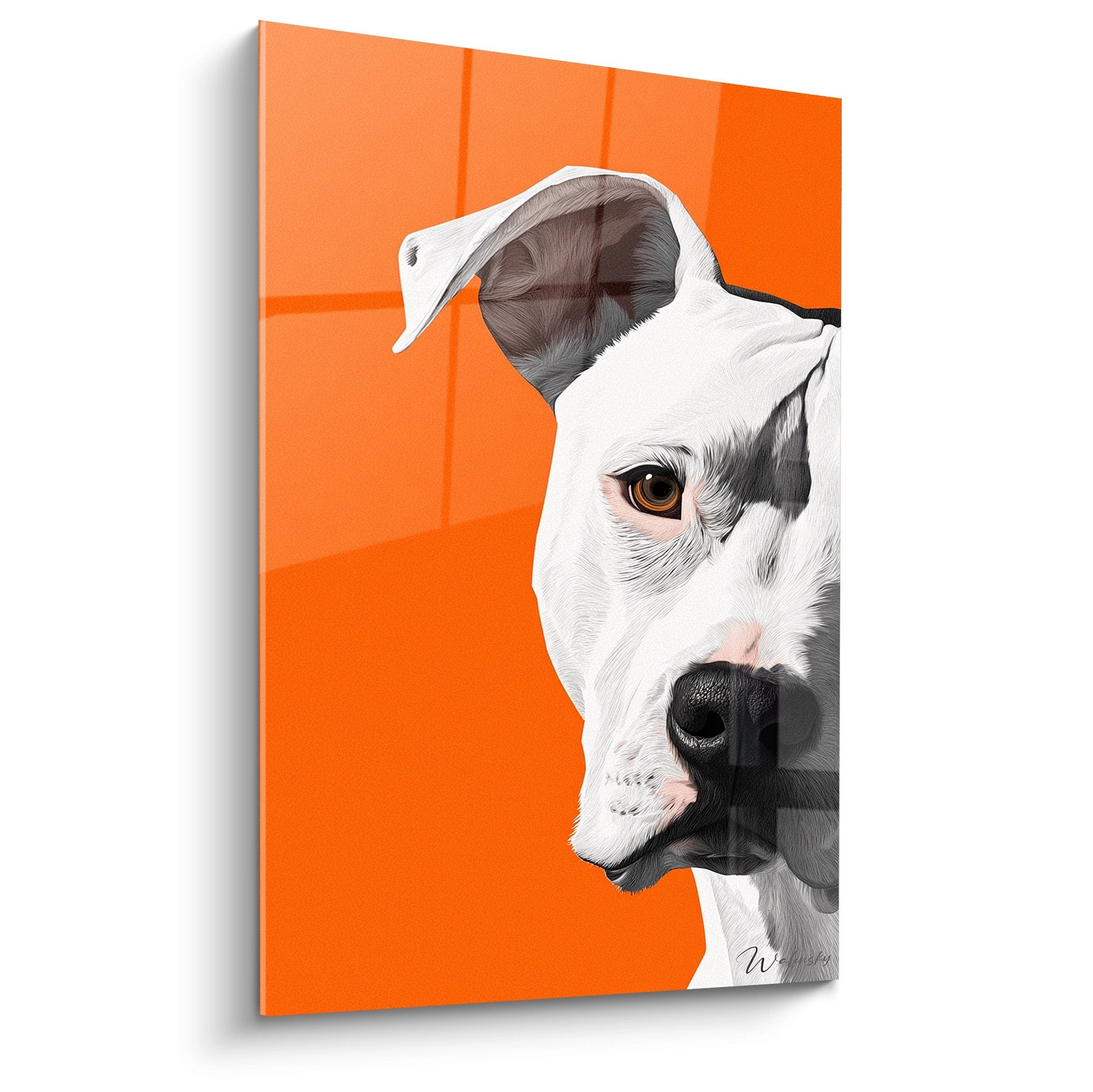 Portrait artistique dogue argentin blanc et gris sur fond orange vif, regard ambre expressif, style contemporain