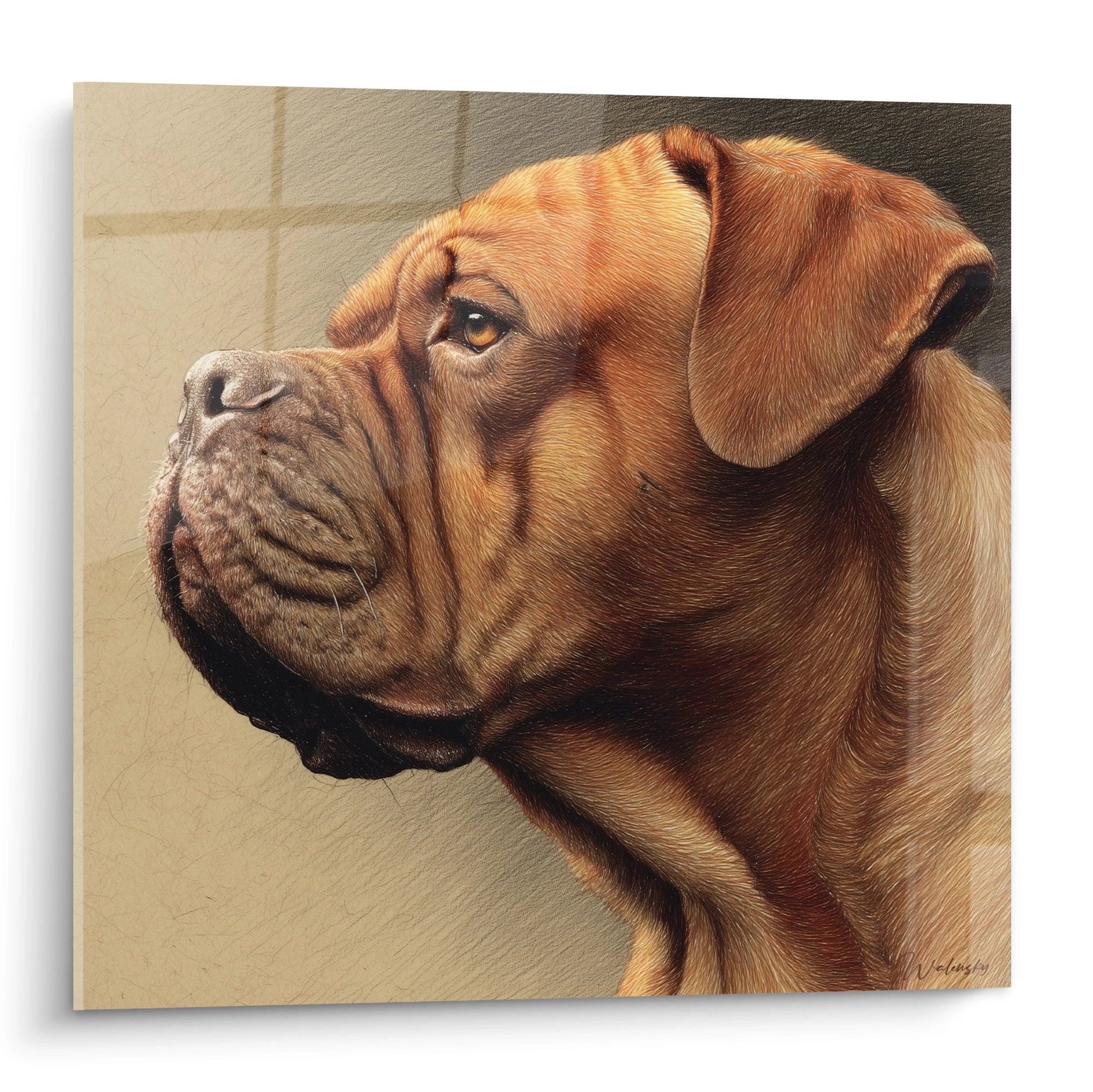 Portrait realiste dogue de bordeaux fauve regard noble vers le haut fond beige tableau mural