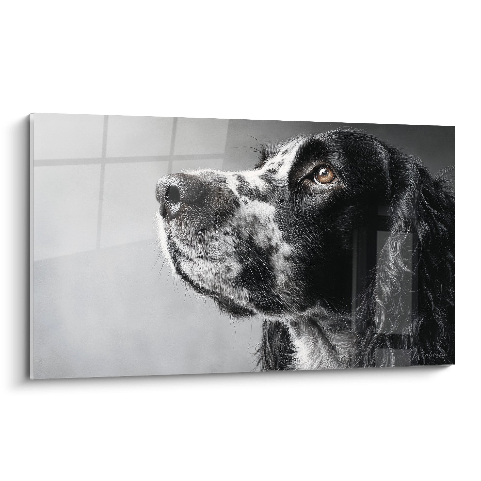 portrait epagneul springer anglais noir blanc regard ambre melancholique fenetre arriere plan tableau