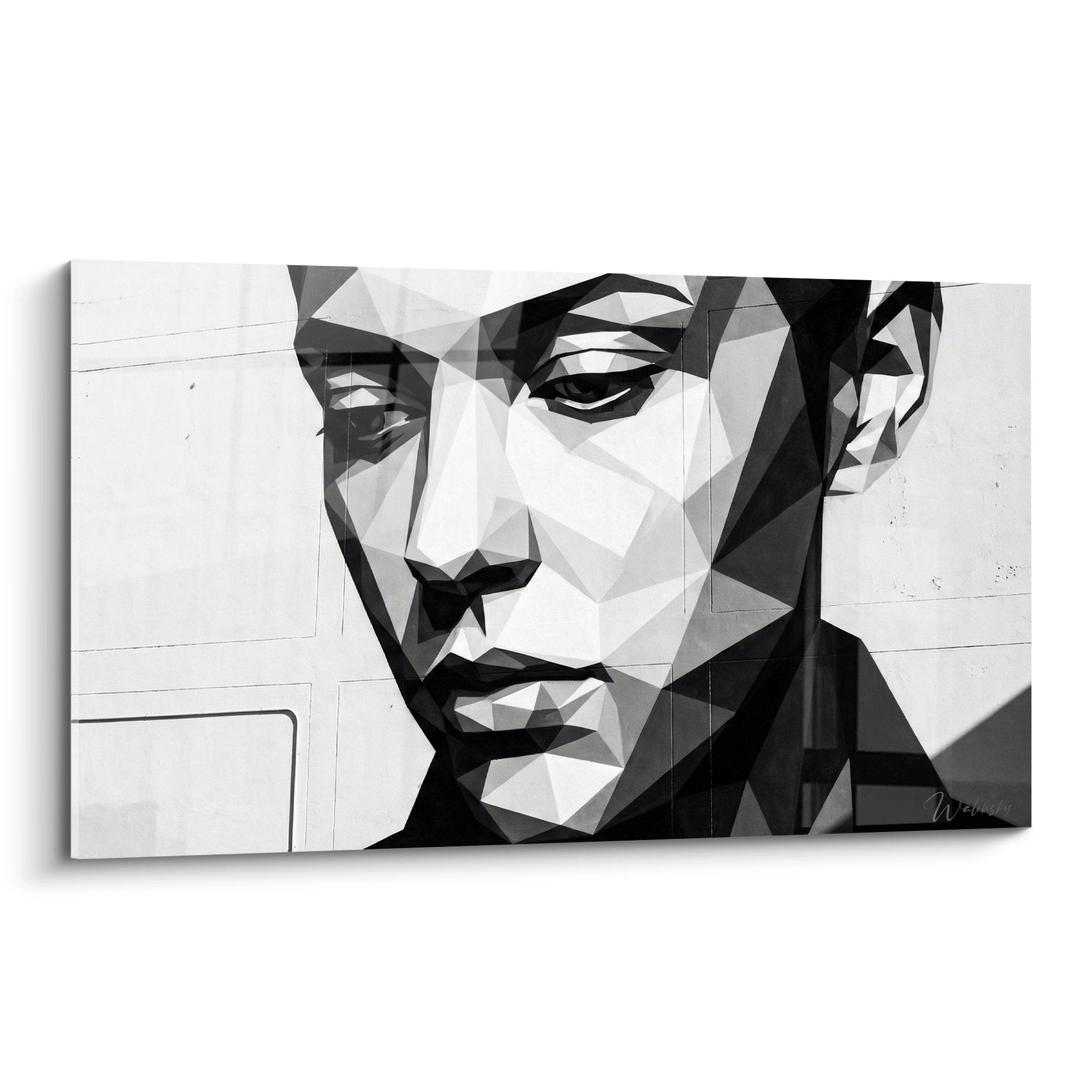 Portrait masculin en facettes geometriques noir et gris style street art moderne sur fond blanc