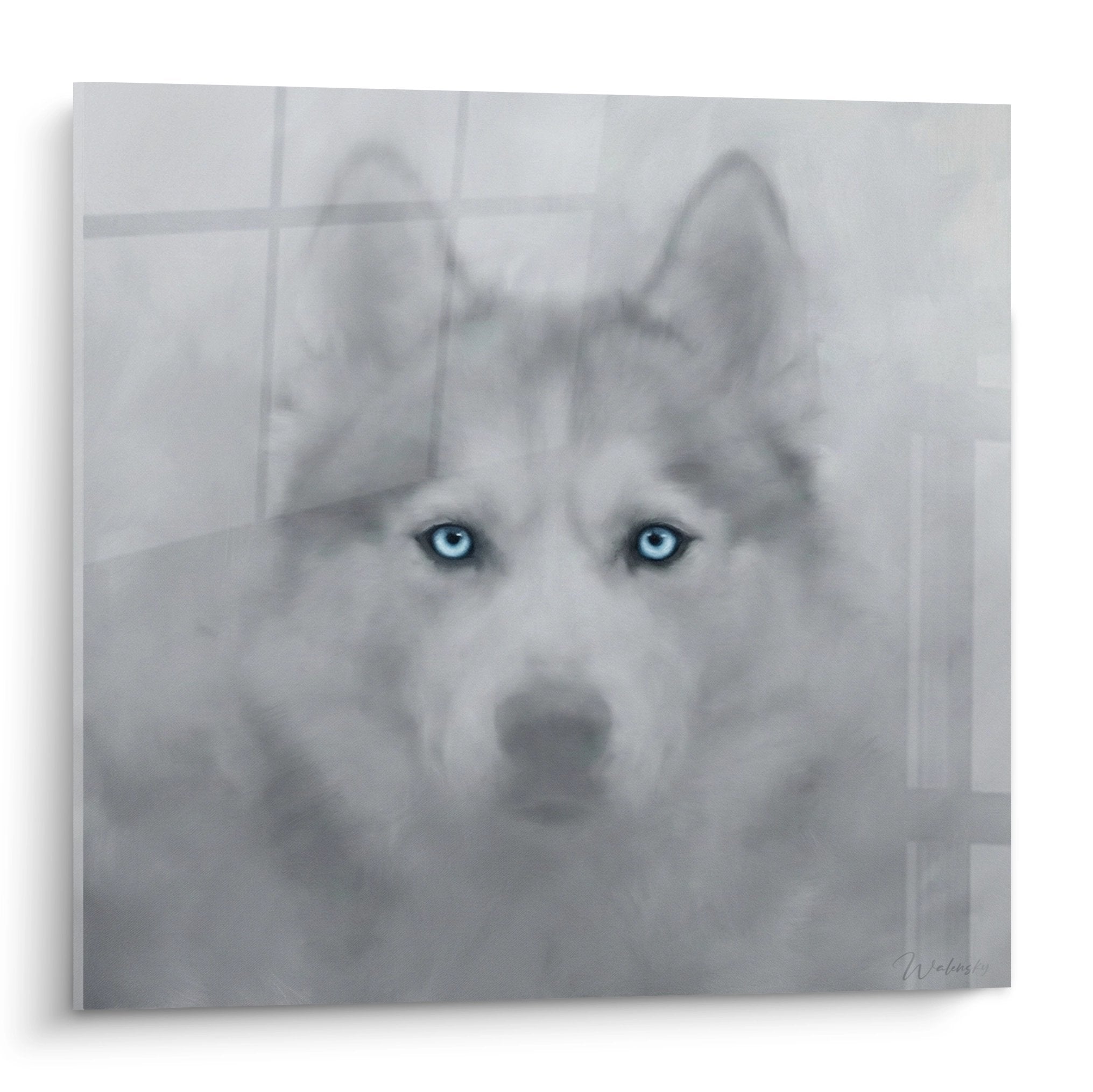 Artistic portrait siberian husky piercing blue eyes black white wall decor