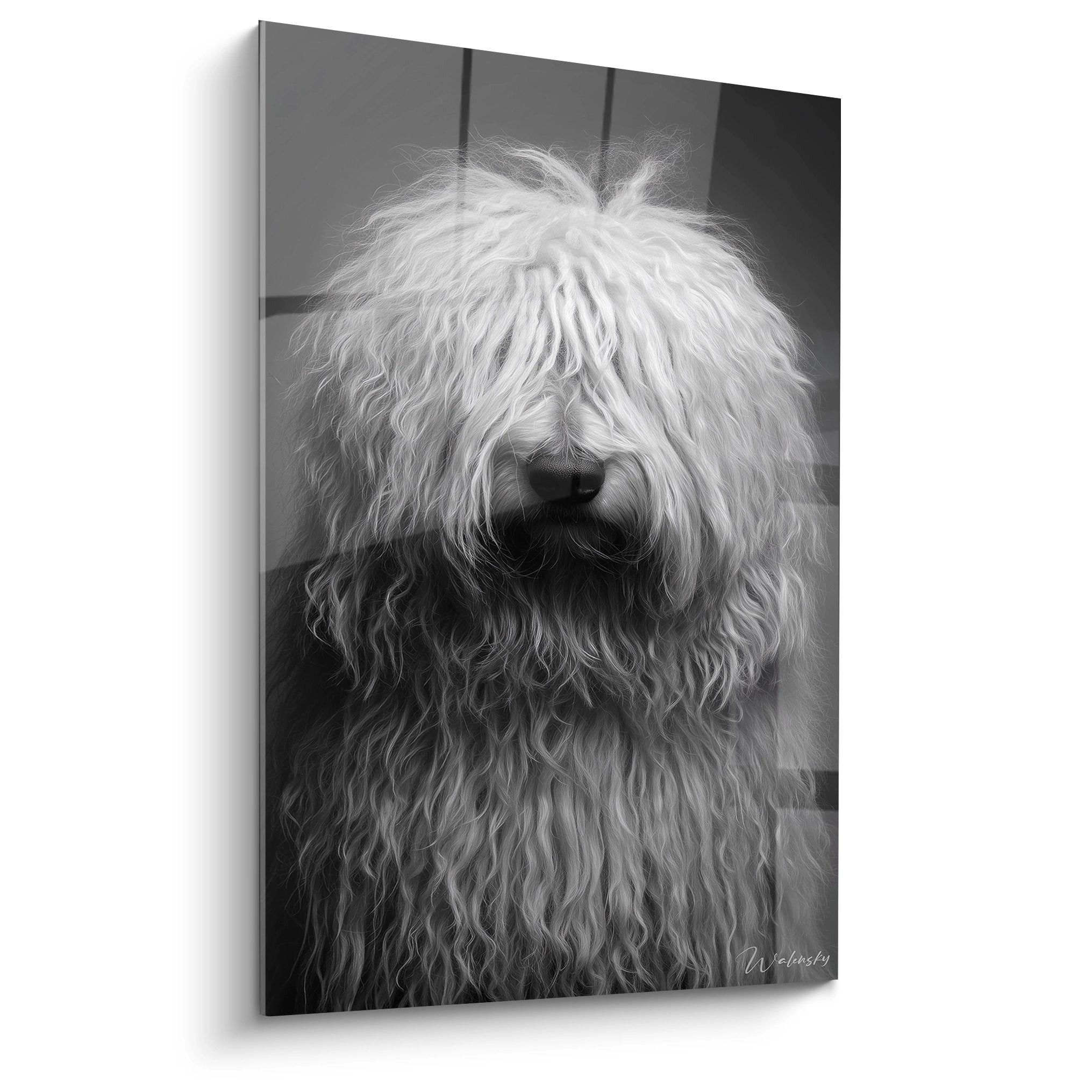 Portrait artistique noir et blanc de Komondor aux poils en cordelettes naturelles, photographie animaliere elegante