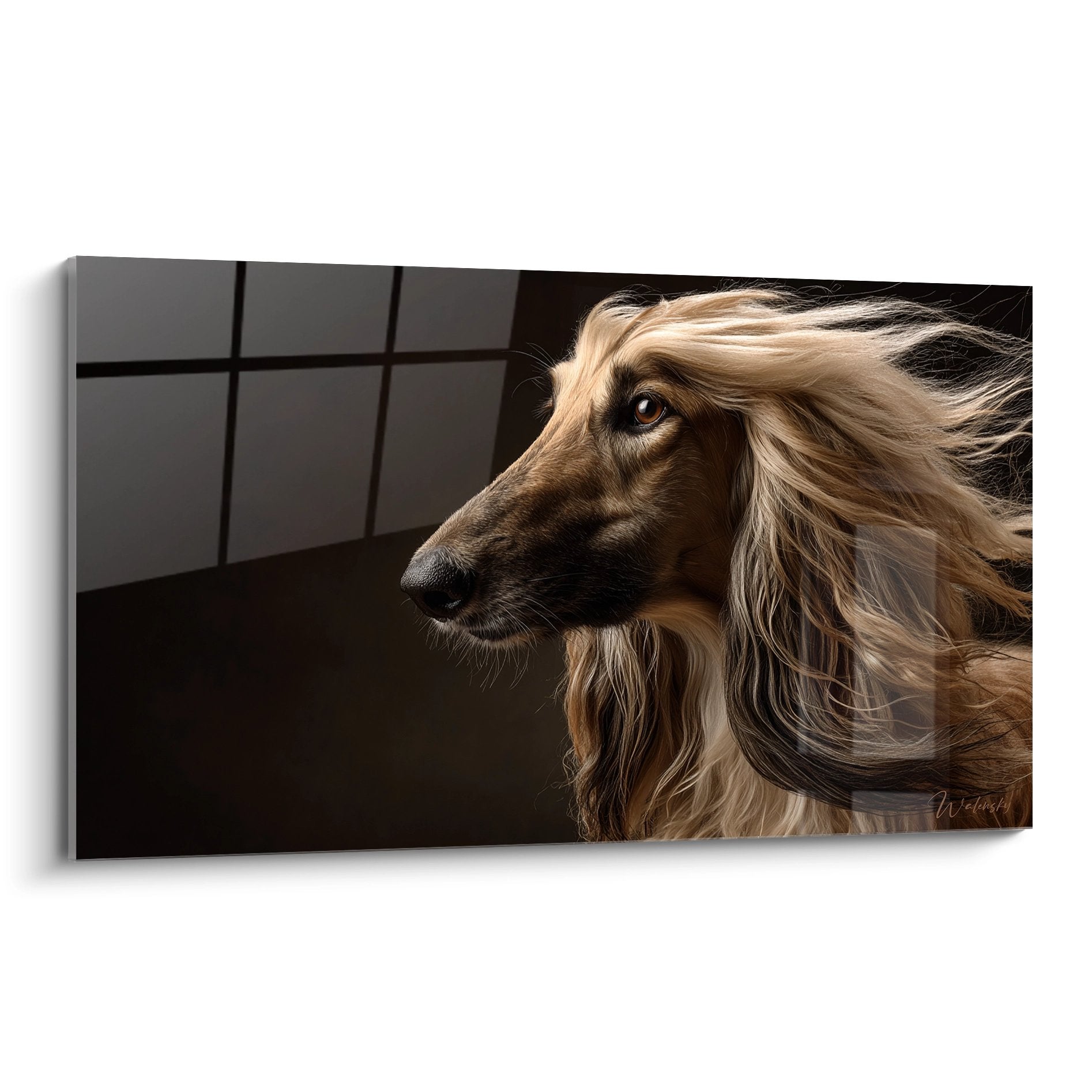 Portrait lévrier afghan pelage doré flottant regard noble fond sombre tableau mural art animalier