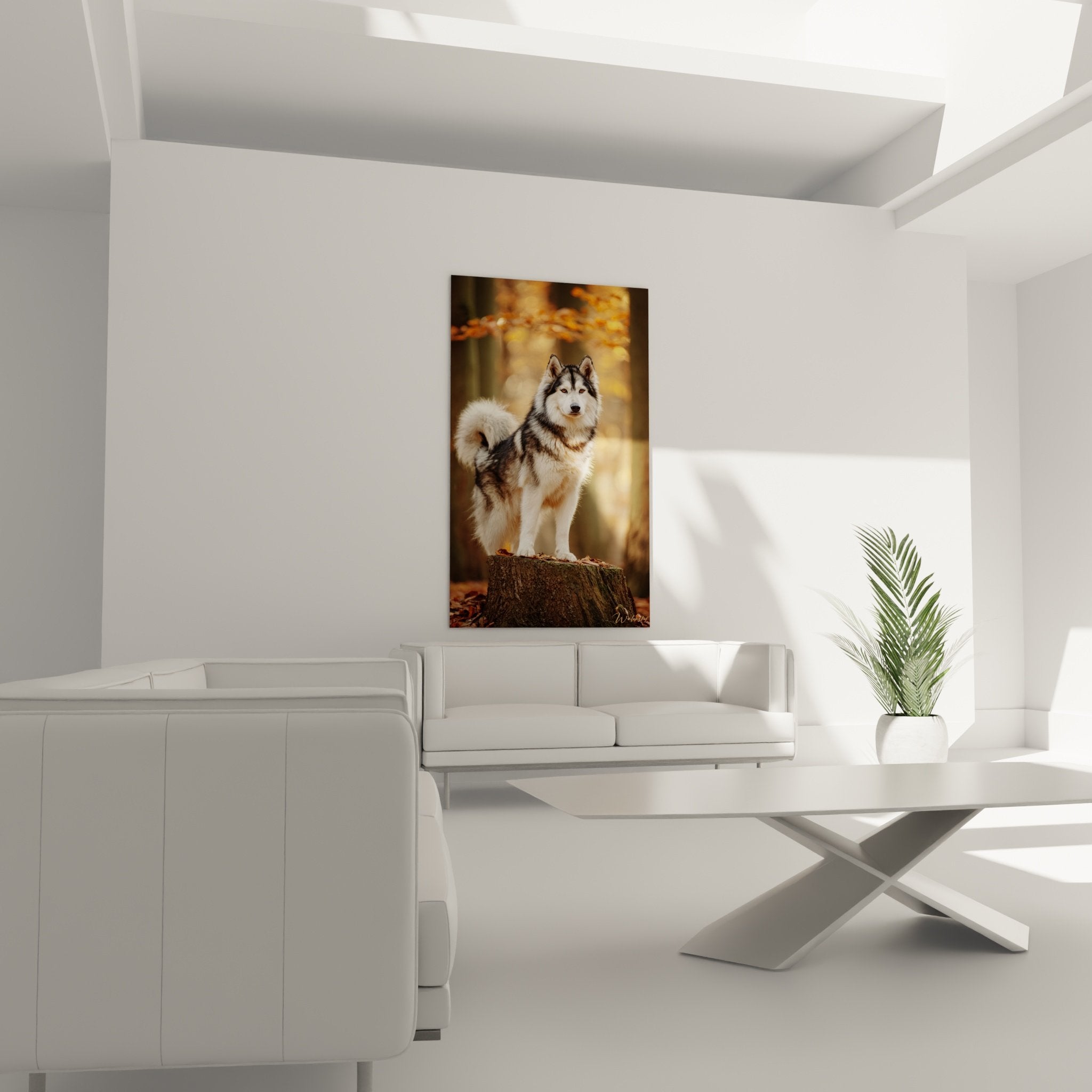 Detail portrait Malamute Alaska pelage gris blanc regard intense texture realiste art animalier