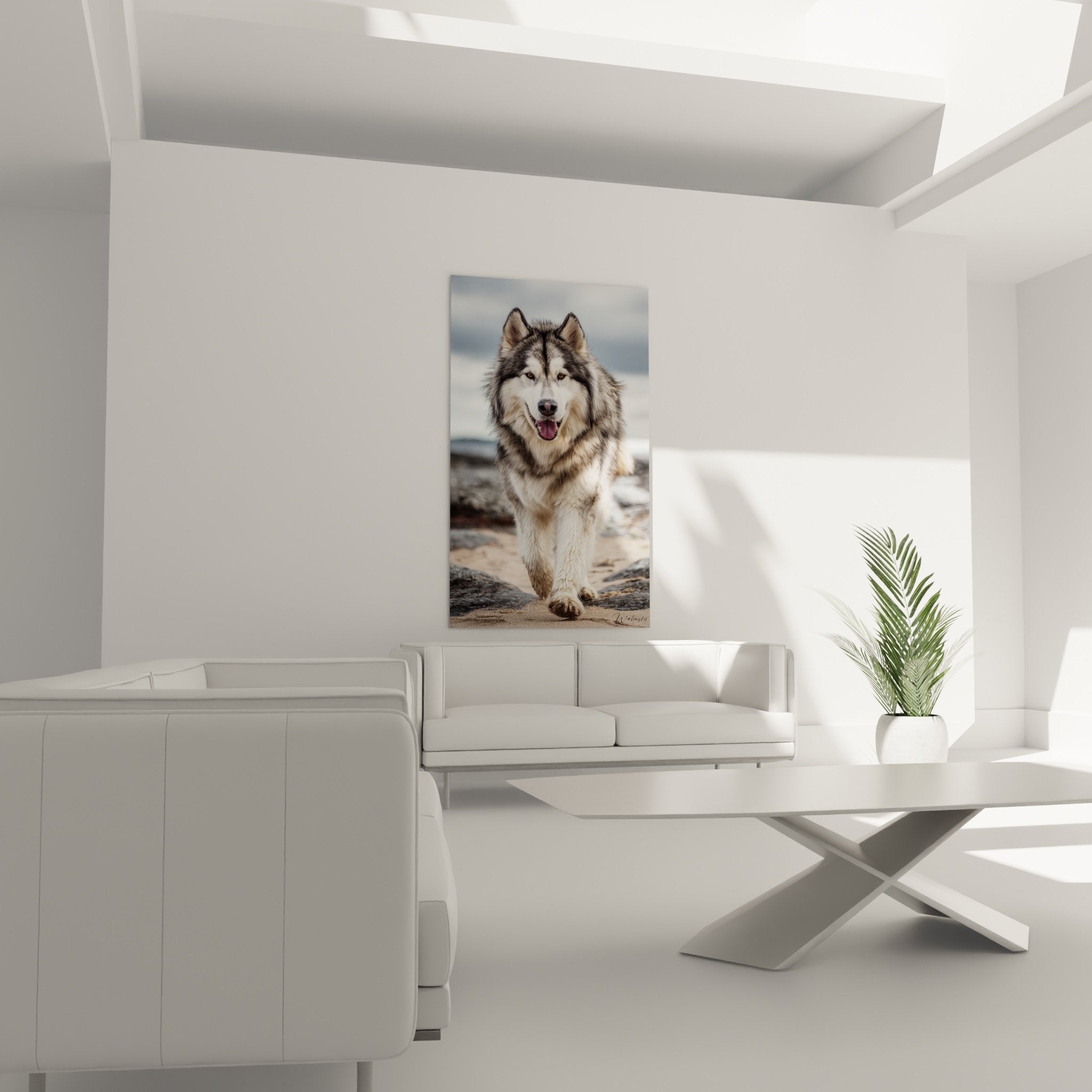 Gros plan portrait Malamute Alaska, regard doré intense, pelage gris blanc détaillé, expression bienveillante