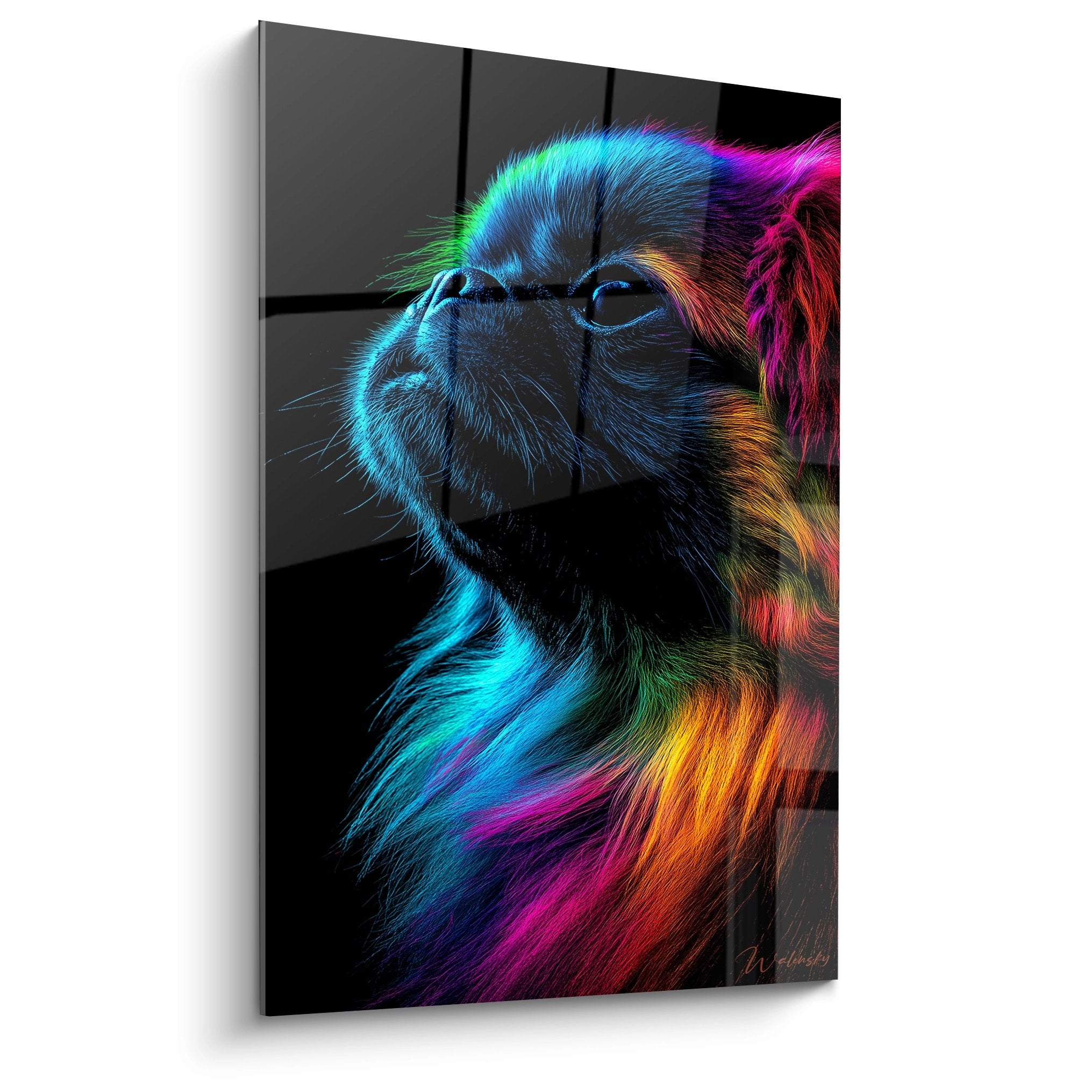 Portrait artistique de Pékinois aux couleurs arc-en-ciel cyan magenta orange sur fond noir