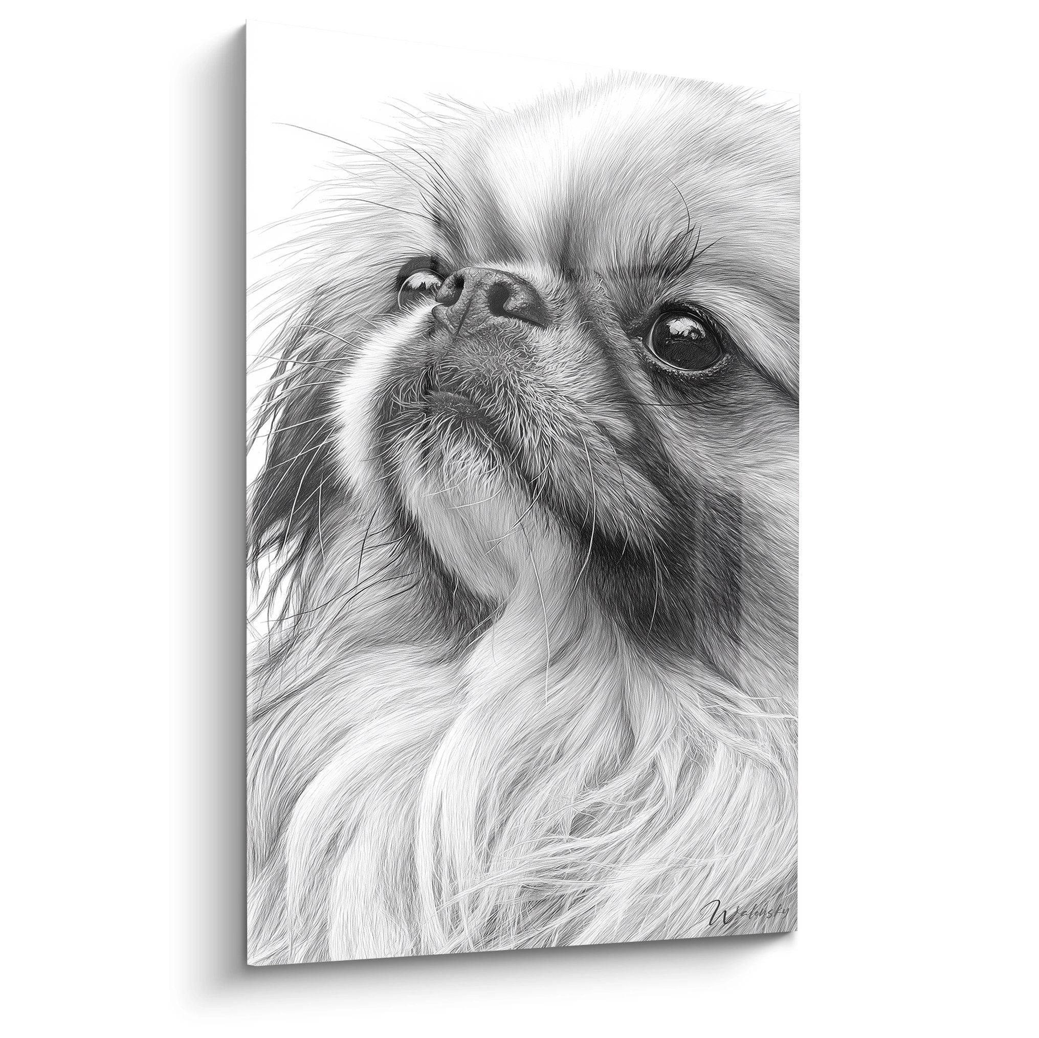 Portrait noir et blanc d'un Pékinois aux yeux expressifs, dessin réaliste mettant en valeur le pelage soyeux