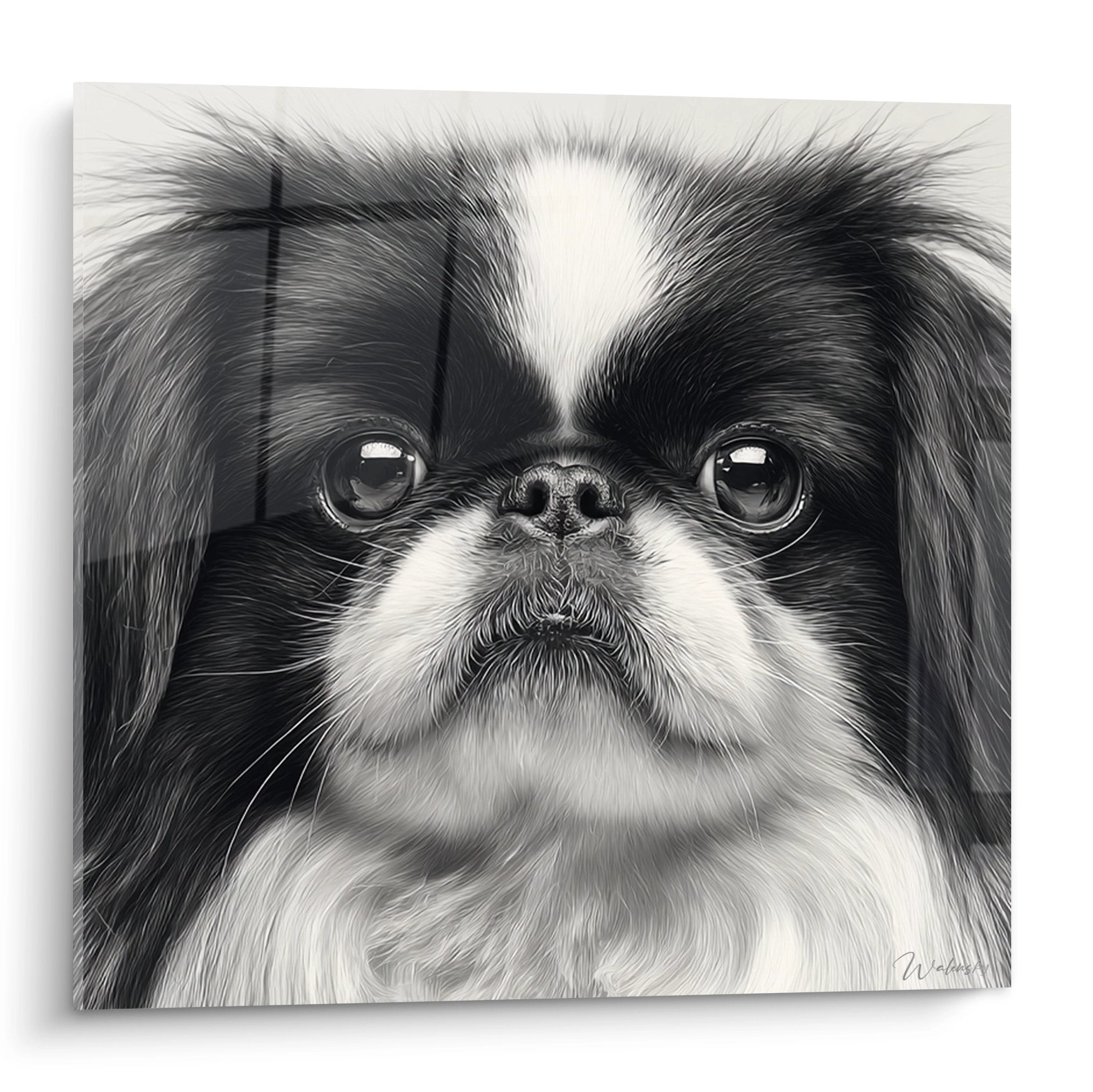 Portrait réaliste de chien Pékinois noir et blanc aux grands yeux expressifs, art canin monochrome détaillé