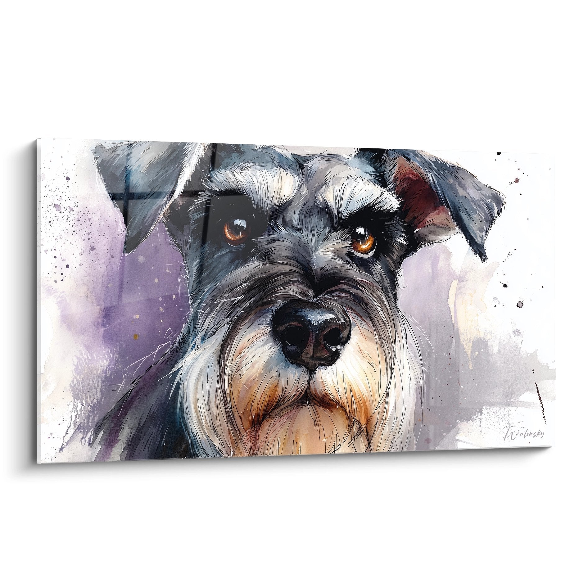 Portrait aquarelle Schnauzer gris yeux ambrés fond violet éclaboussures artistiques contemporain