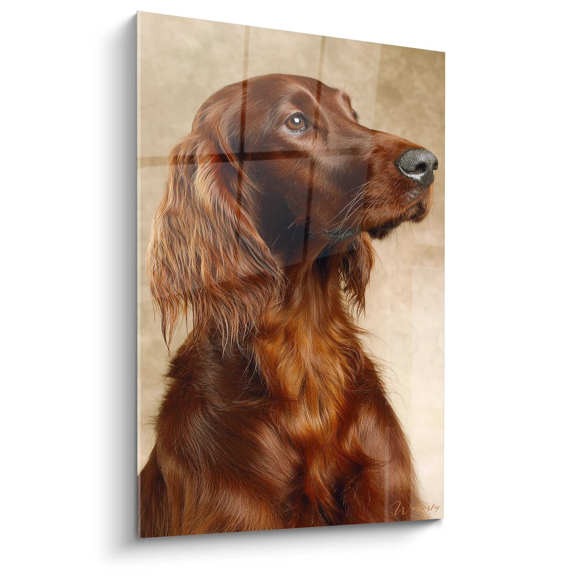 Portrait artistique setter irlandais roux yeux dorés regard contemplatif pelage soyeux fond beige