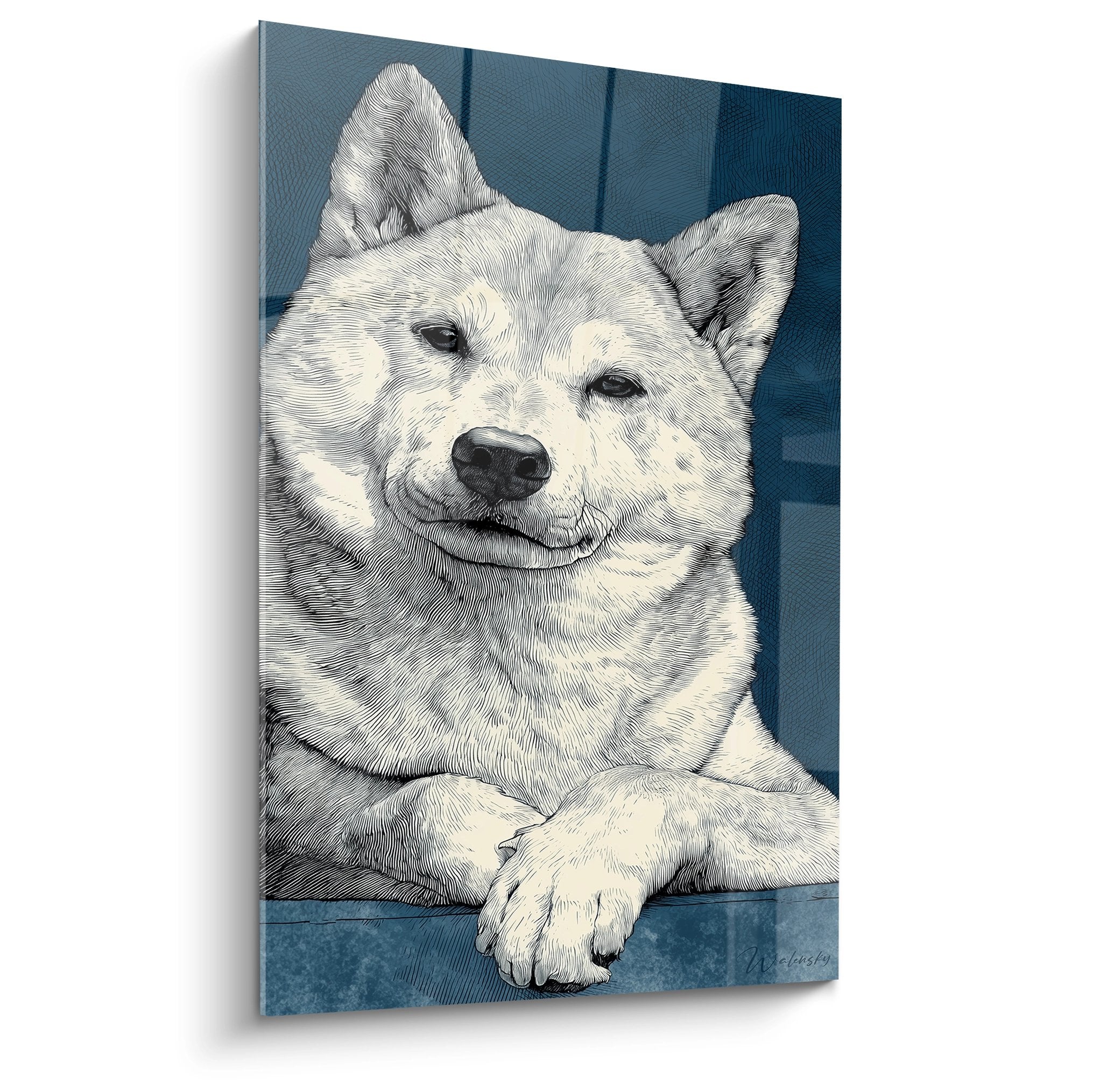 Portrait de Shiba Inu souriant en gravure sur fond bleu, technique au trait fin et expression malicieuse