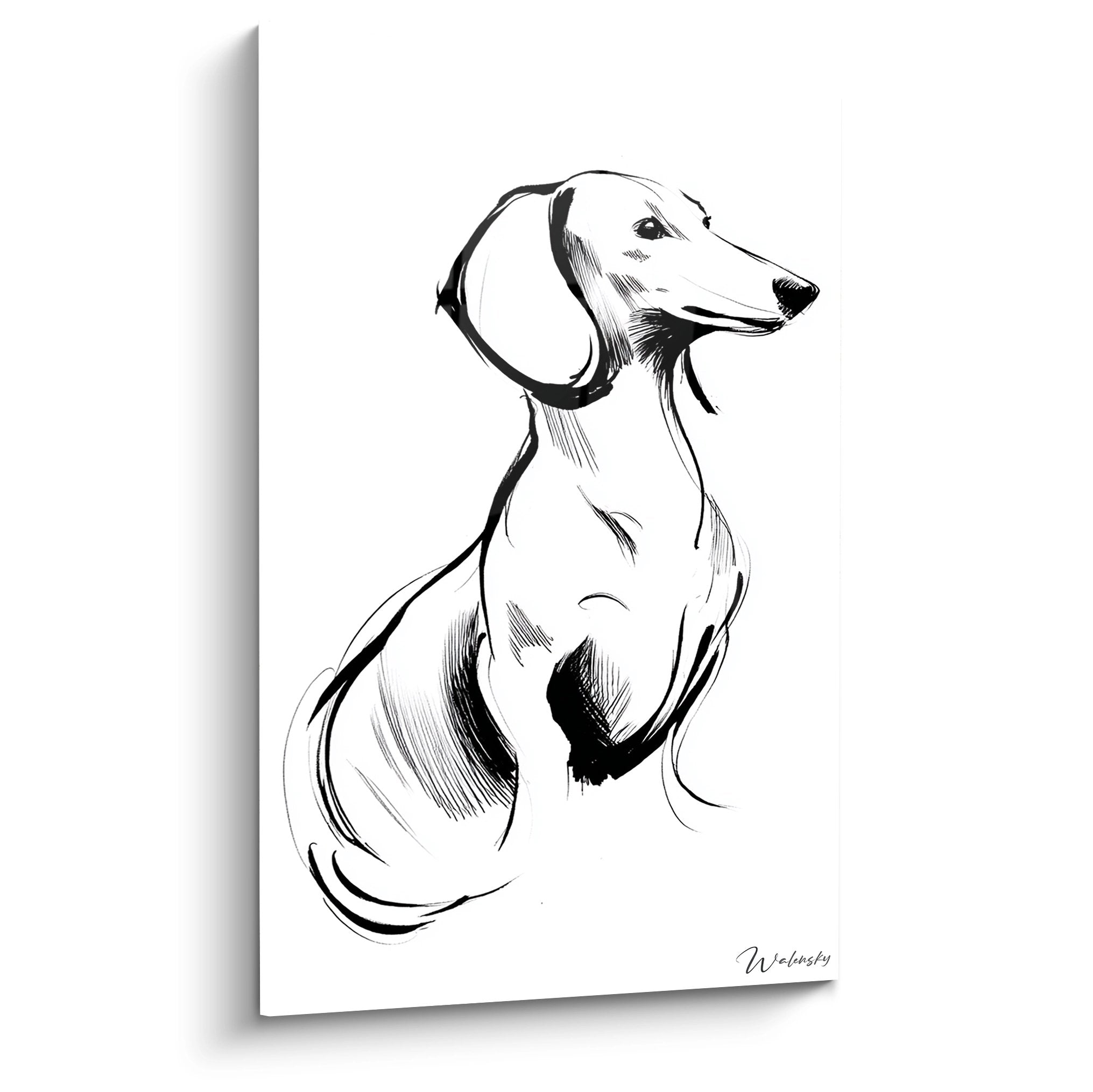 Artistic black and white dachshund portrait with line art, noble profile on white background - modern canine art