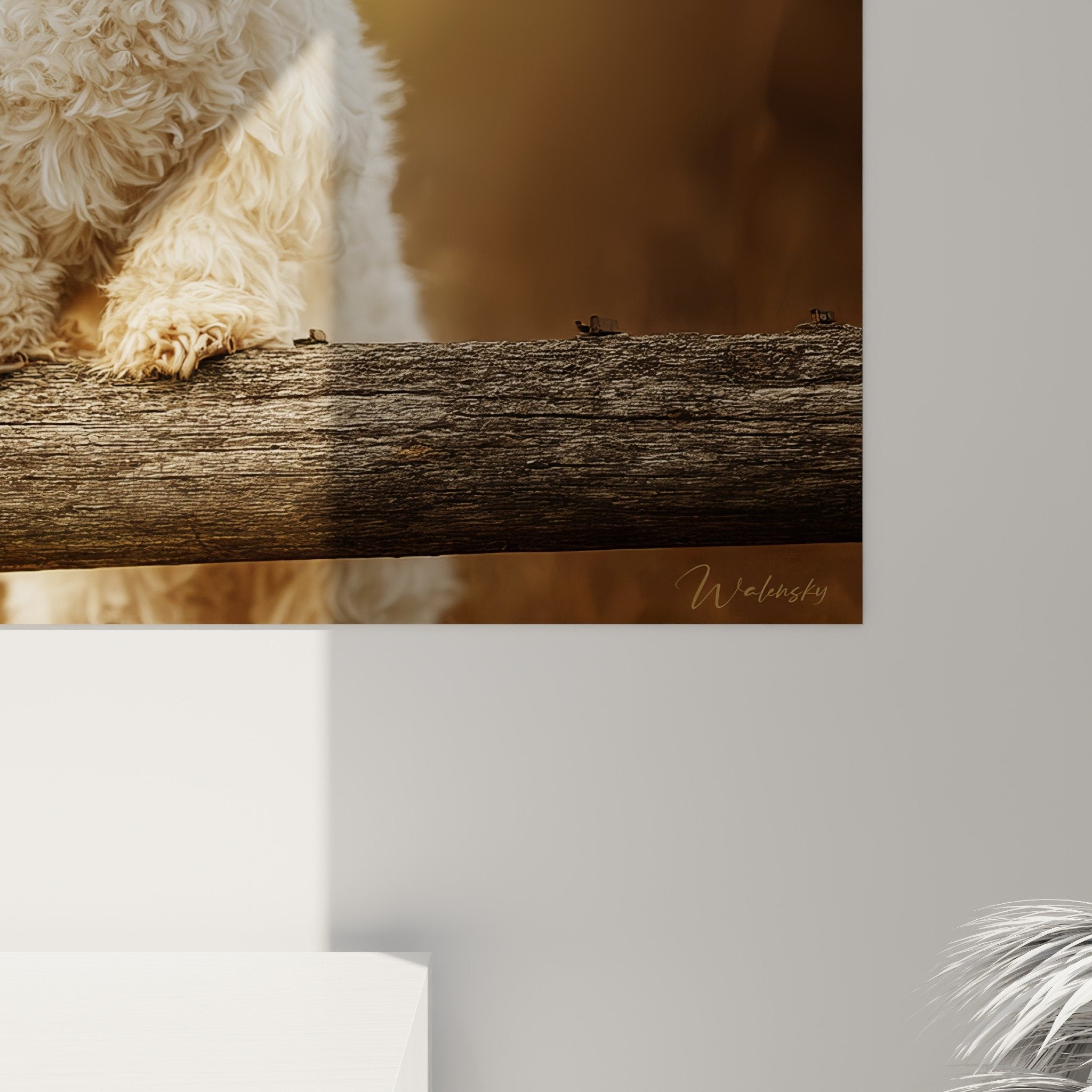Vue ensemble tableau chien Bichon Havanais salon decoration murale style naturel chaleureux