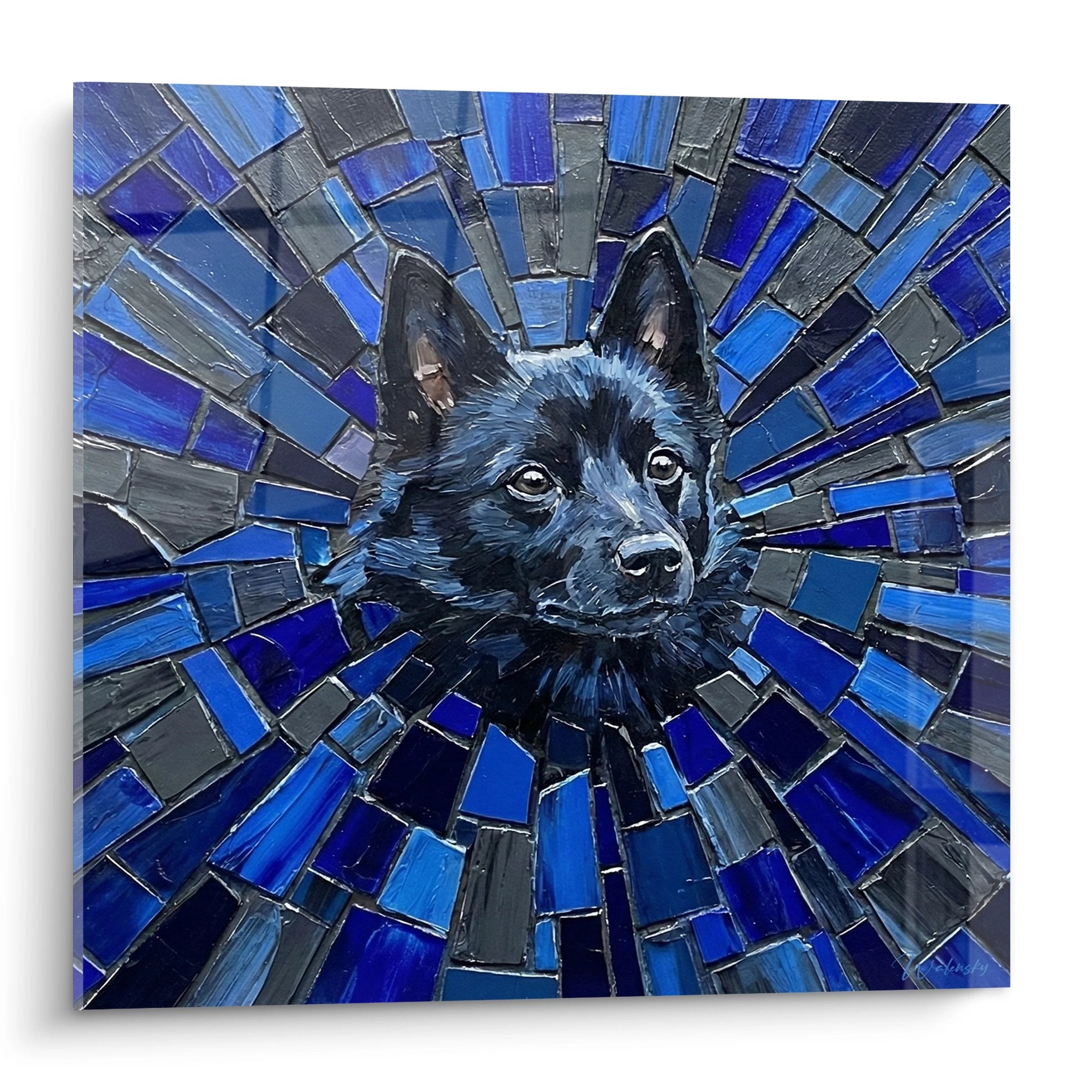Portrait de Schipperke noir sur mosaique geometrique bleue rayonnante style contemporain