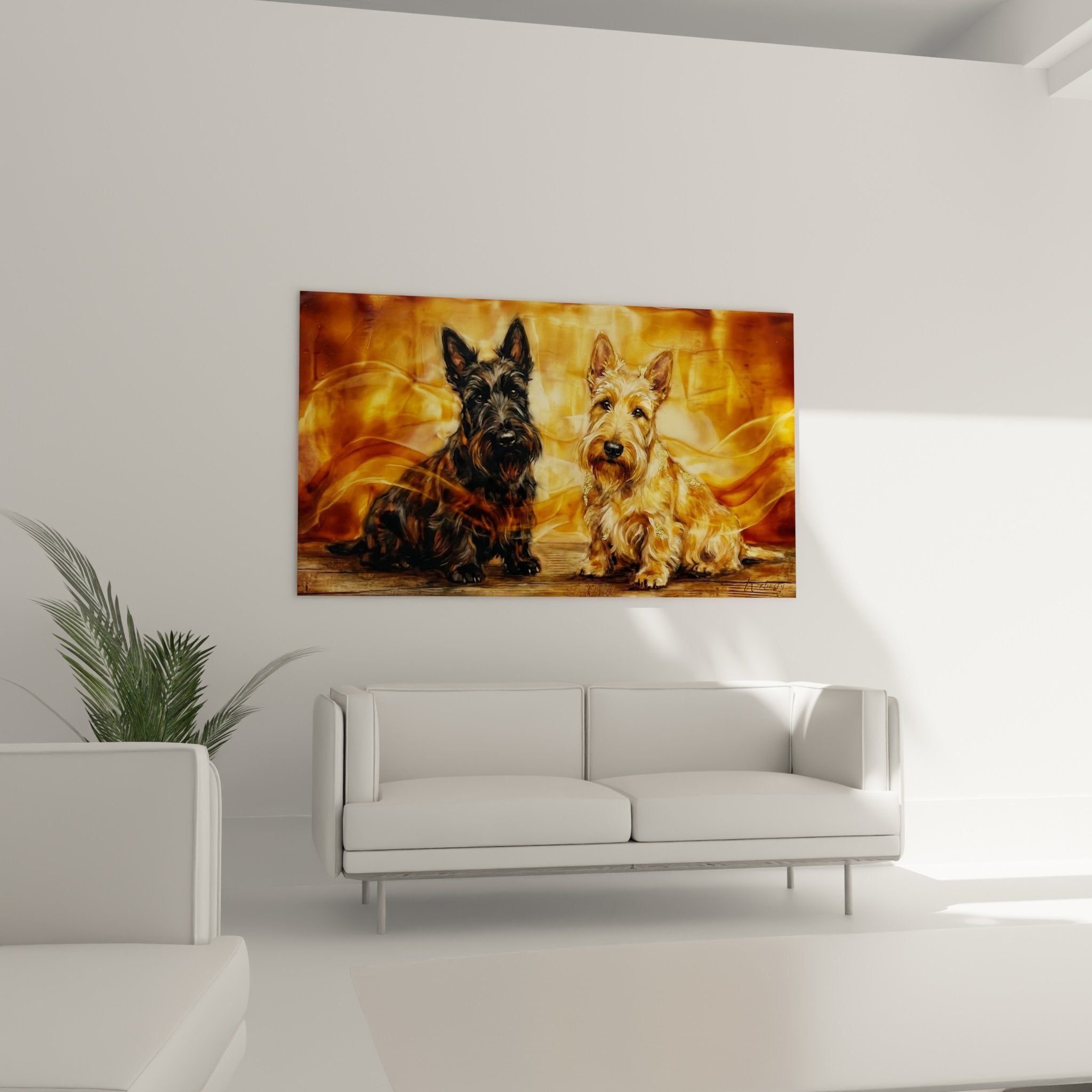 Gros plan sur deux Scottish Terriers aux pelages contrastes baignes de reflets dores et cuivres