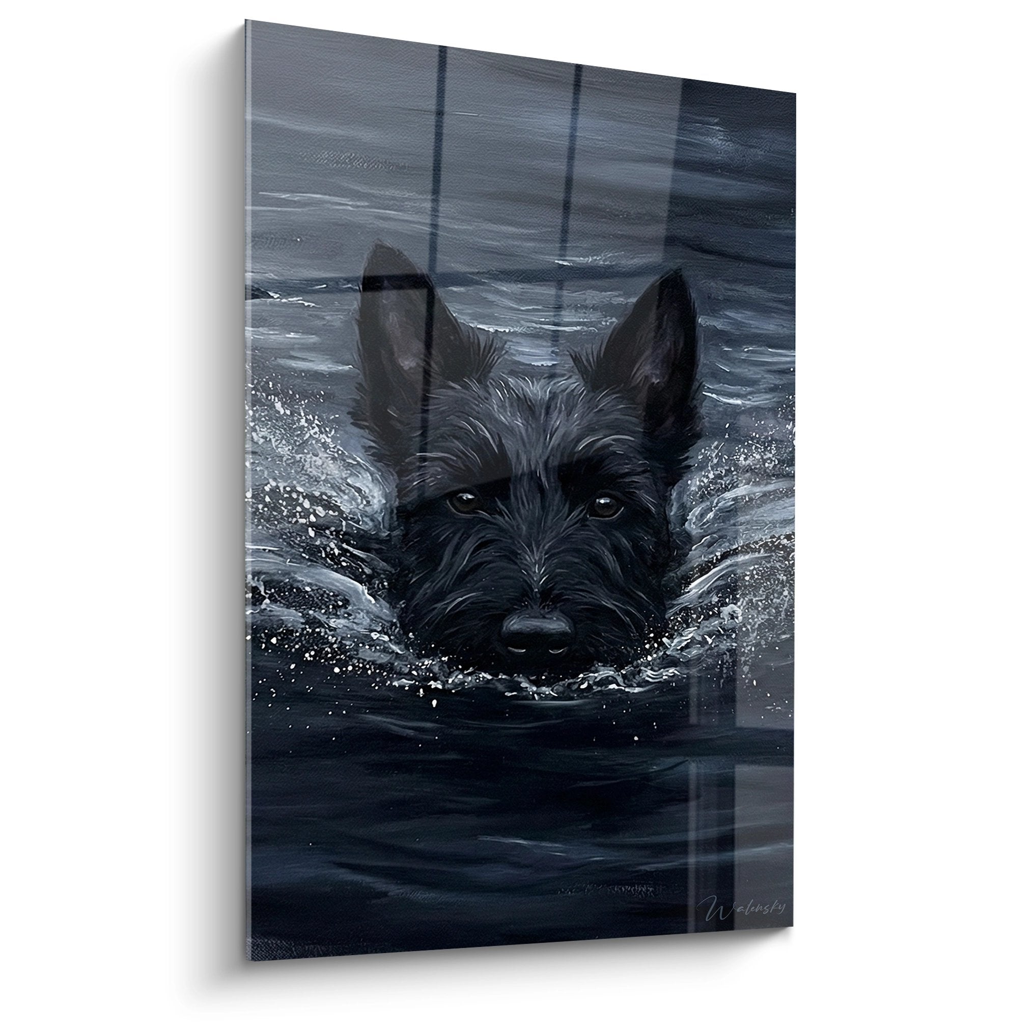 Tableau Scottish Terrier noir nageant dans eau bleue avec reflets argentes et eclaboussures