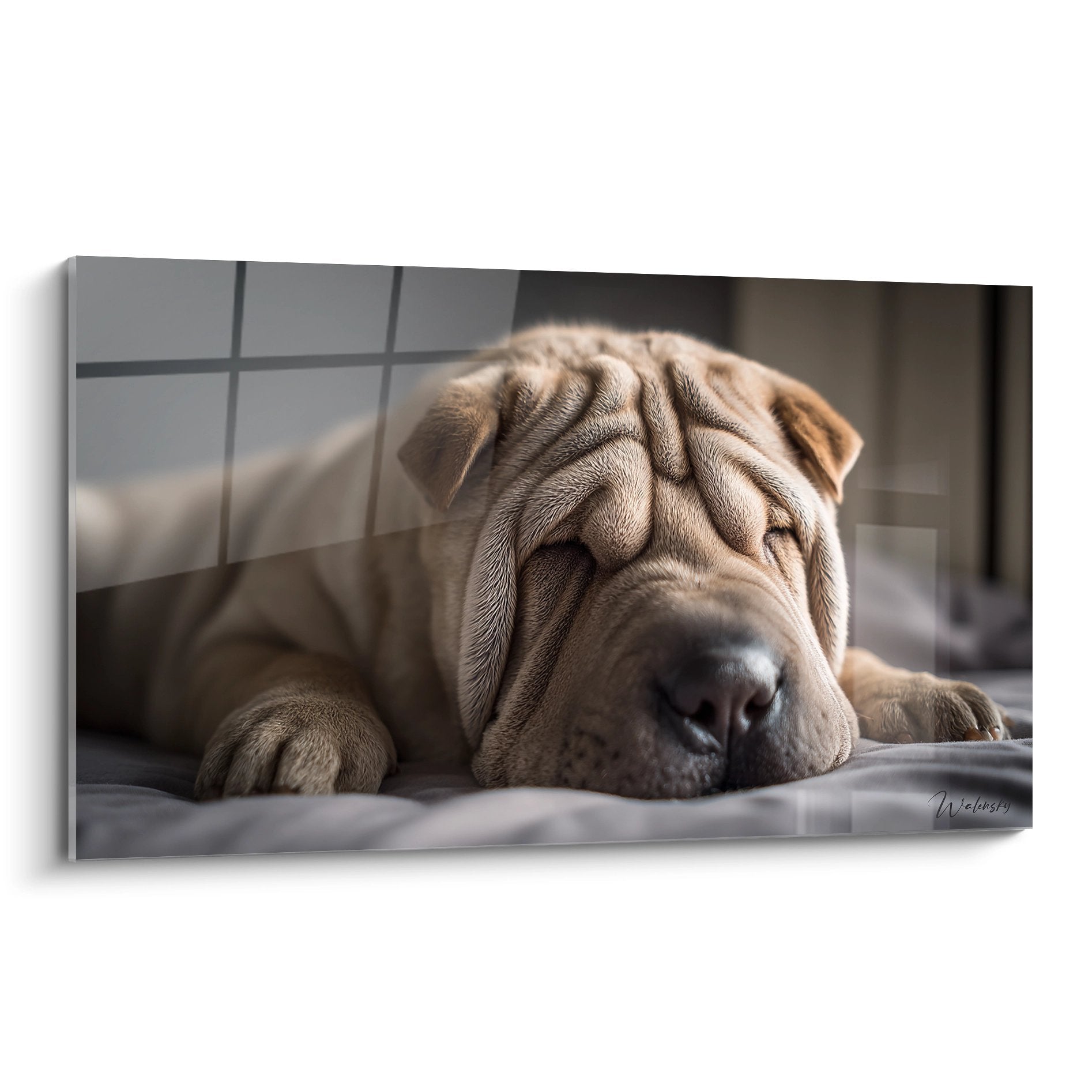 Shar Pei beige endormi paisiblement tête posée sur tissu blanc, portrait attendrissant aux tons chauds