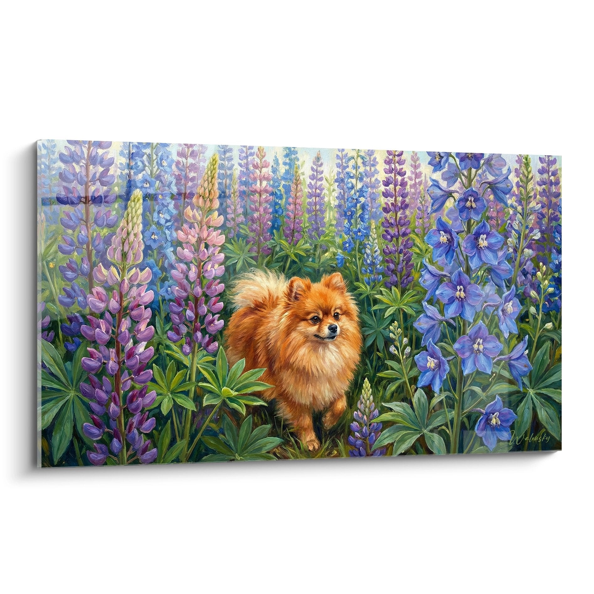 Spitz Poméranien roux dans un champ de lupins violets et bleus, tableau floral coloré