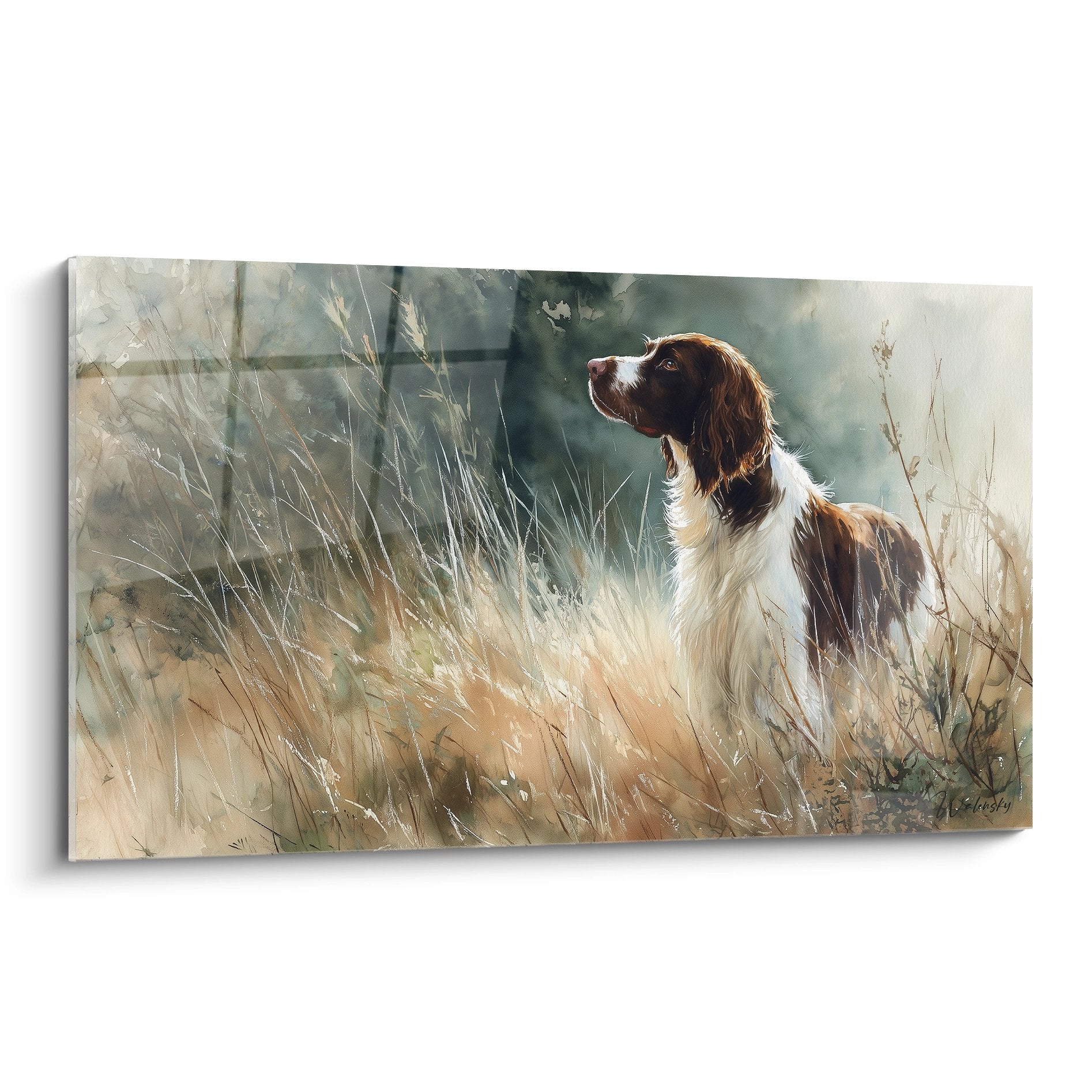 Tableau Springer Anglais brun et blanc dans herbes dorees regard attentif vers ciel paysage automnal
