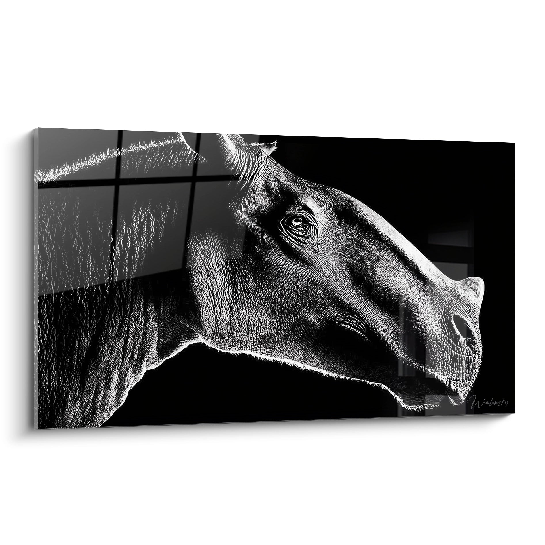 Tableau Indricotherium portrait noir et blanc artistique pour décoration murale élégante