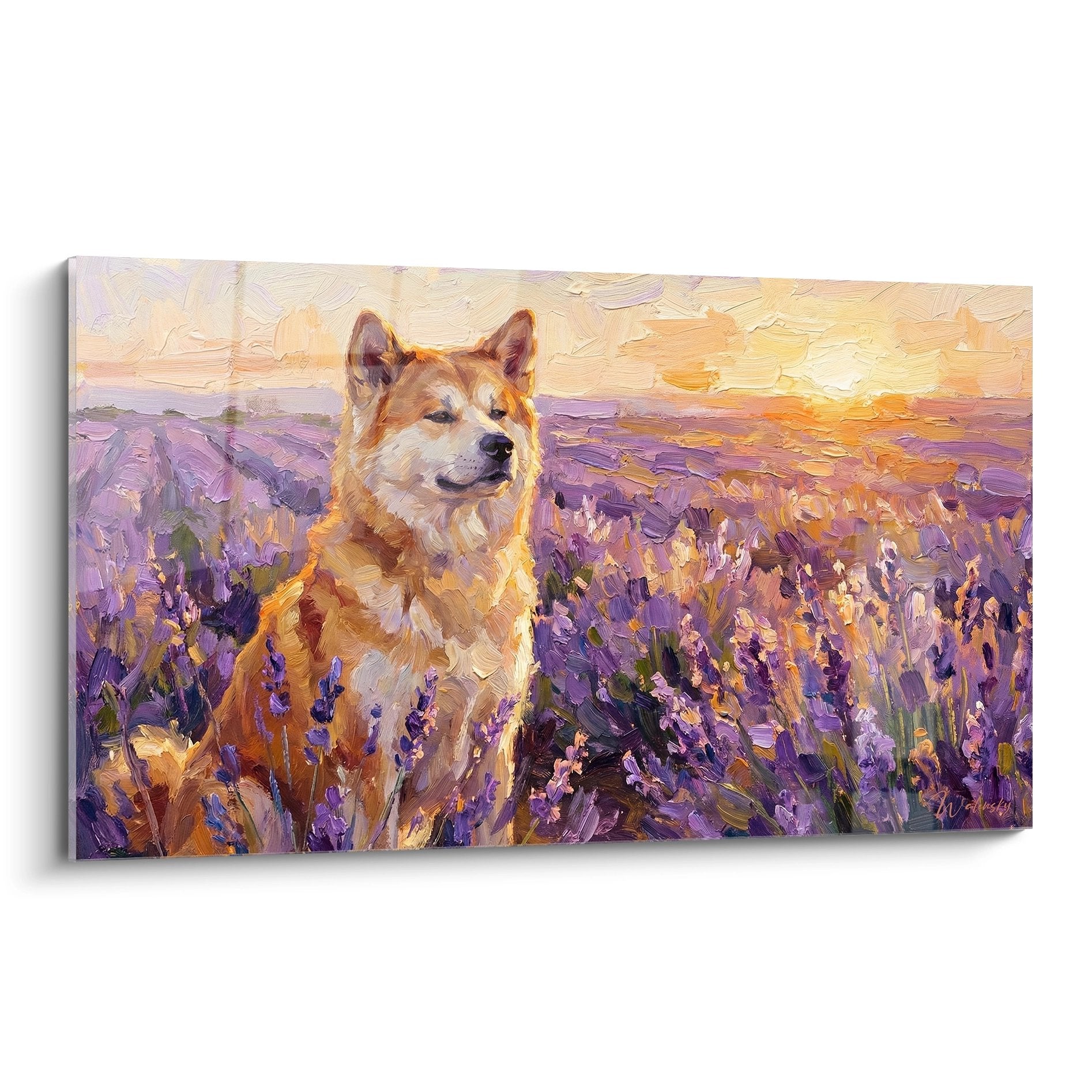 Red Akita Inu painting in purple lavender field sunset orange tones impressionist style