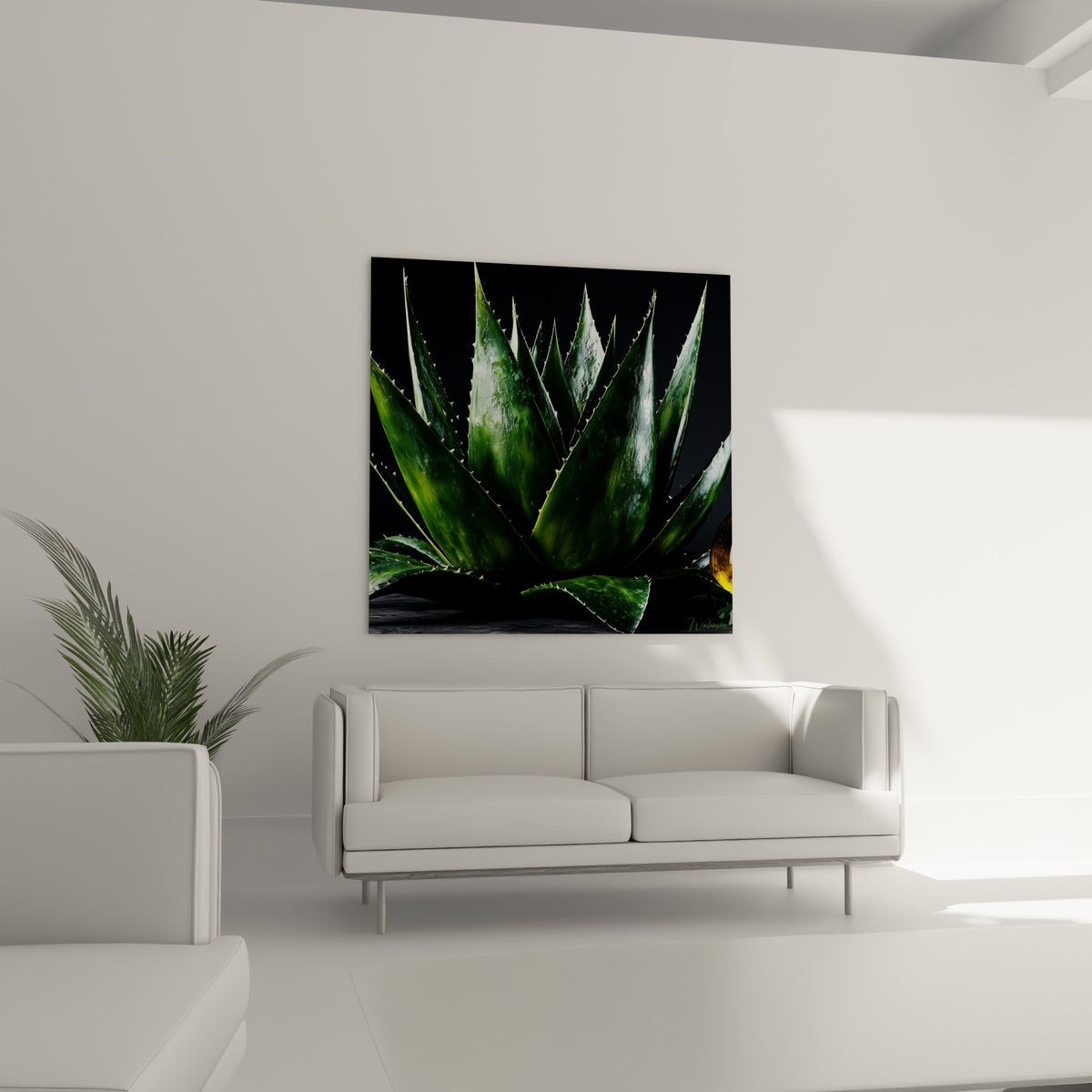 Plante Aloe vera aux tons verts et anthracite, épines blanches visibles, au-dessus d'un canapé dans un salon lumineux