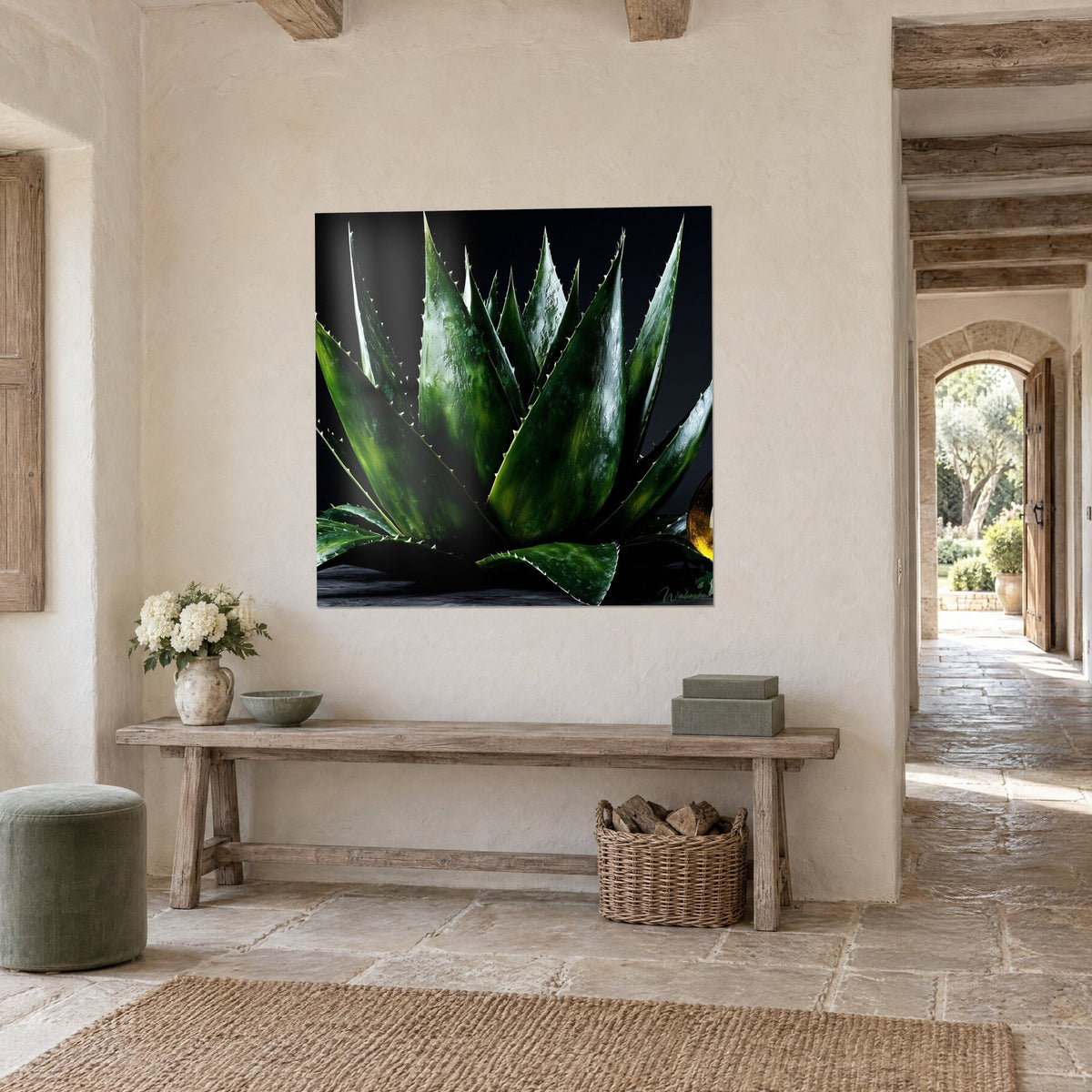 Tableau agave aux lames vert émeraude luisantes et dents ivoire sur fond noir, mur de chaux beige, vue de trois-quarts