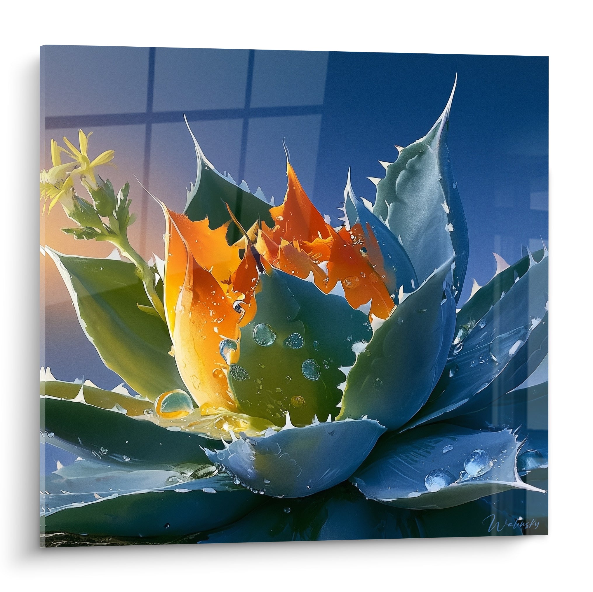 Aloe vera aux feuilles bleu ardoise et cœur orangé, gouttes de rosée scintillantes