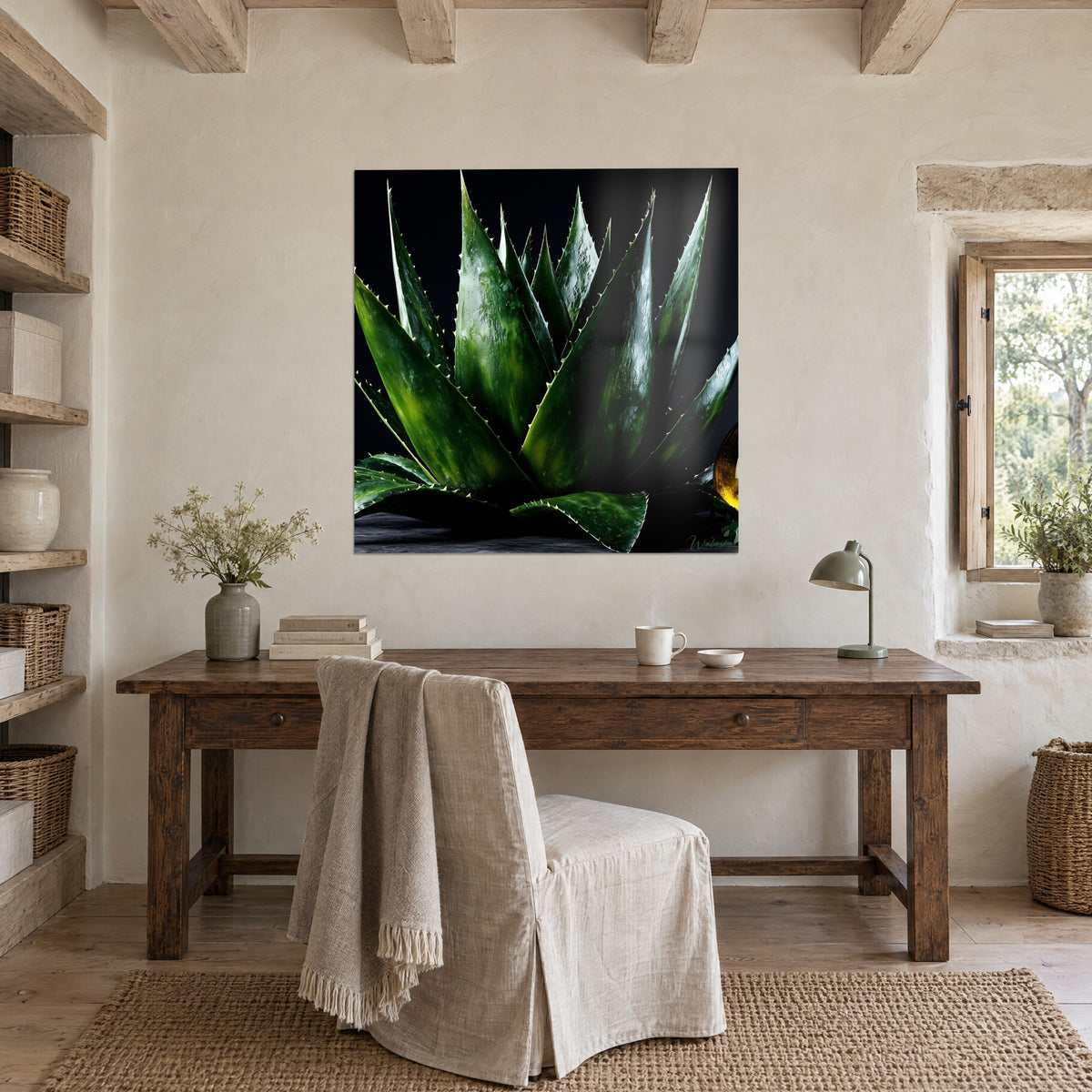 Tableau aloe vera en gros plan, feuilles vert sombre brillantes et dents blanches, fond noir, au-dessus d'un bureau en chêne