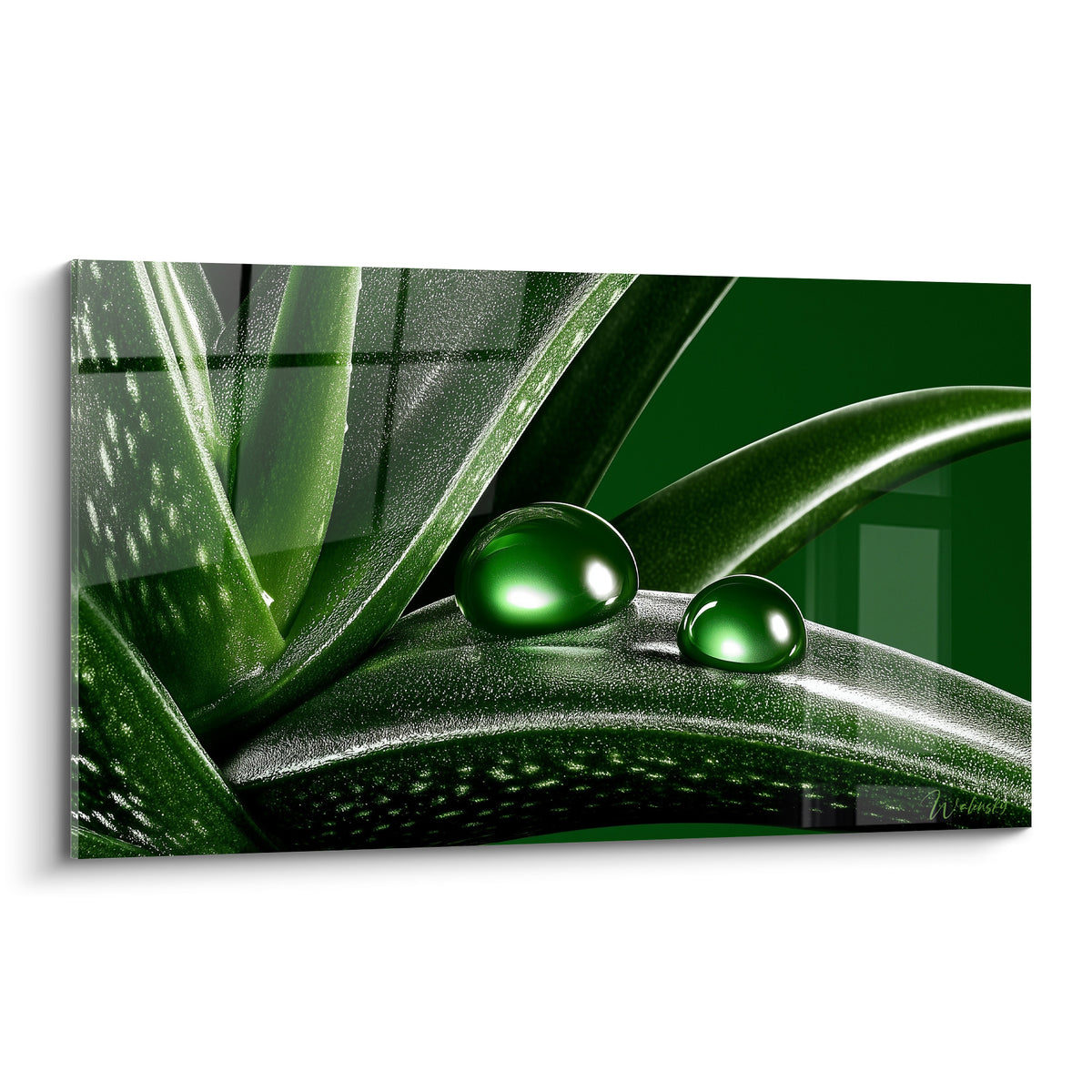Aloe vera vert émeraude et gouttes d'eau brillantes sur feuille texturée anthracite