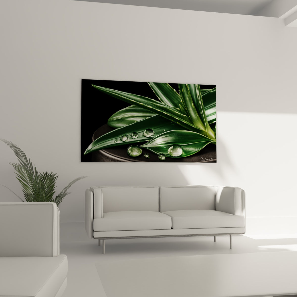 Aloe vera aux feuilles vertes et gouttes transparentes, suspendu au-dessus d'un canapé dans un salon lumineux