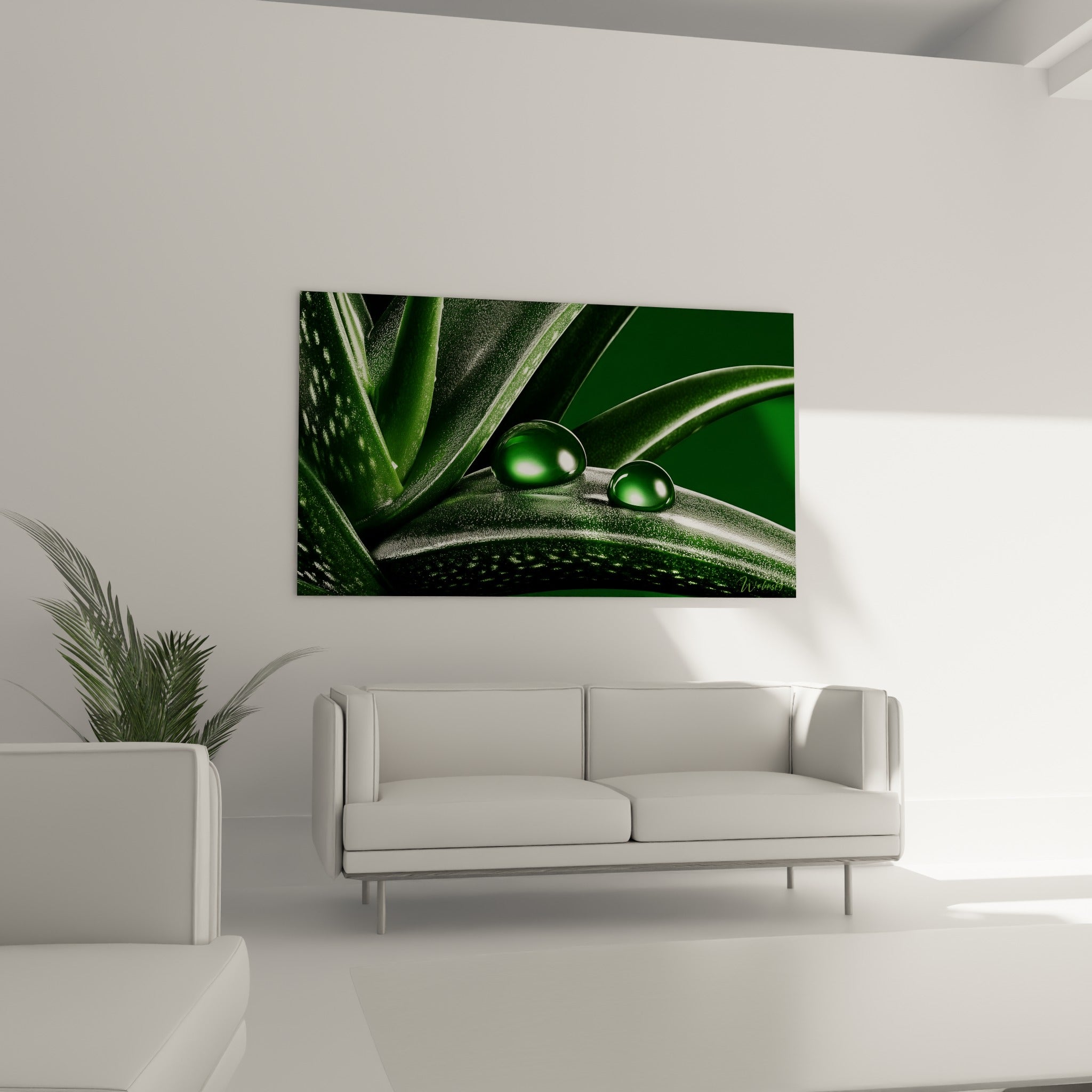 Aloe vera vert émeraude aux reflets anthracite disposé au-dessus d'un canapé dans un salon lumineux