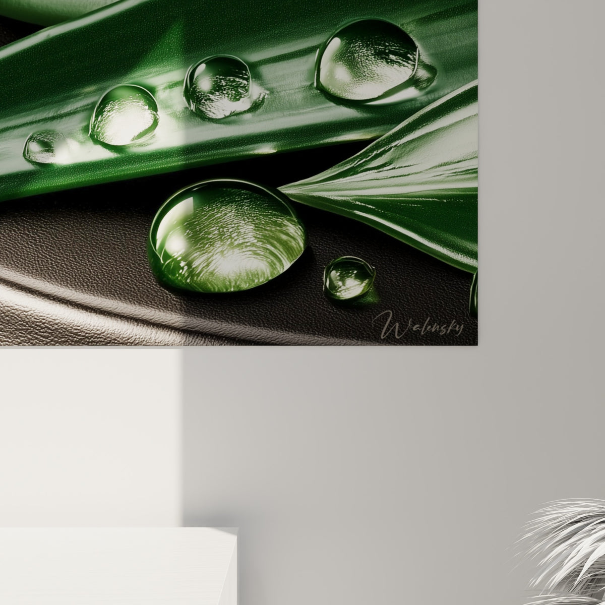Grain rapproché des feuilles d'aloe vera vert foncé, coulures lumineuses des gouttes d'eau contre le fond anthracite