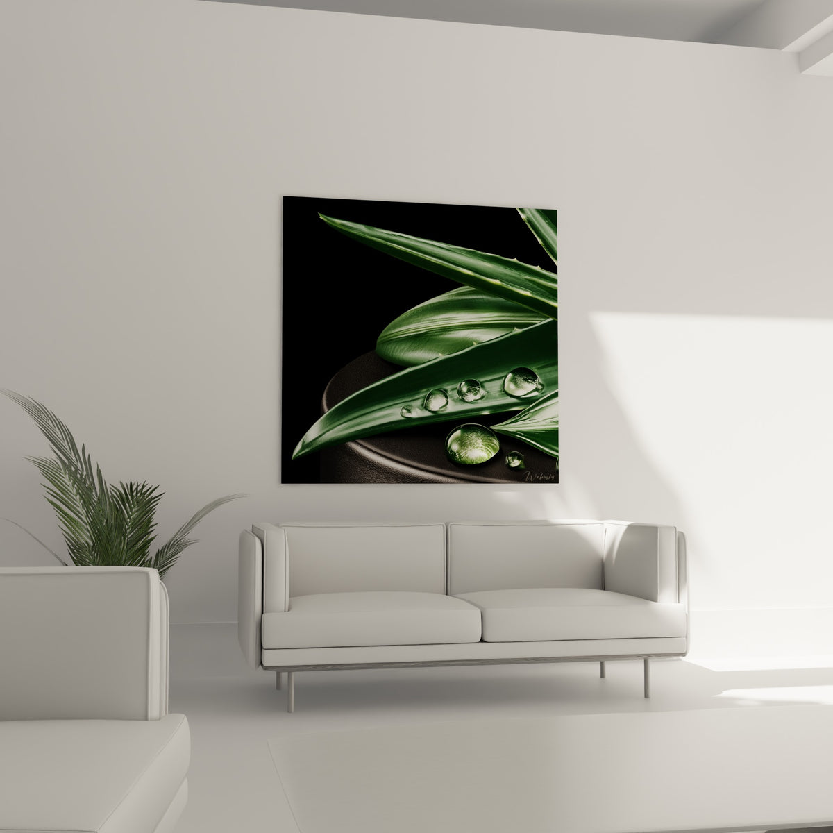 Plante d'aloe vera vert olive et anthracite scintillante de gouttes, au-dessus d'un canapé dans un salon lumineux