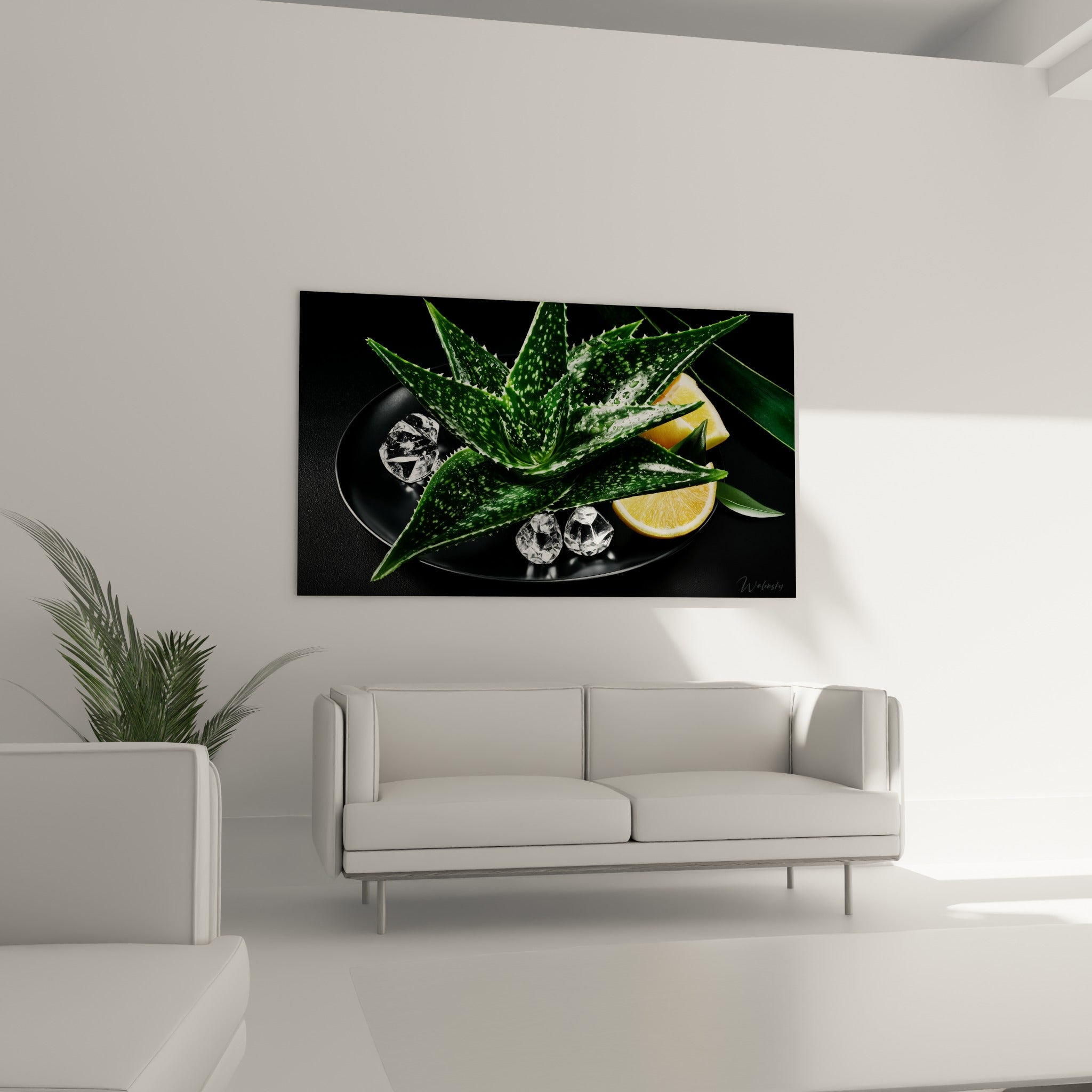 Plante d'aloe vera vert foncé entourée d'agrumes jaune orangé au-dessus d'un canapé dans un salon lumineux