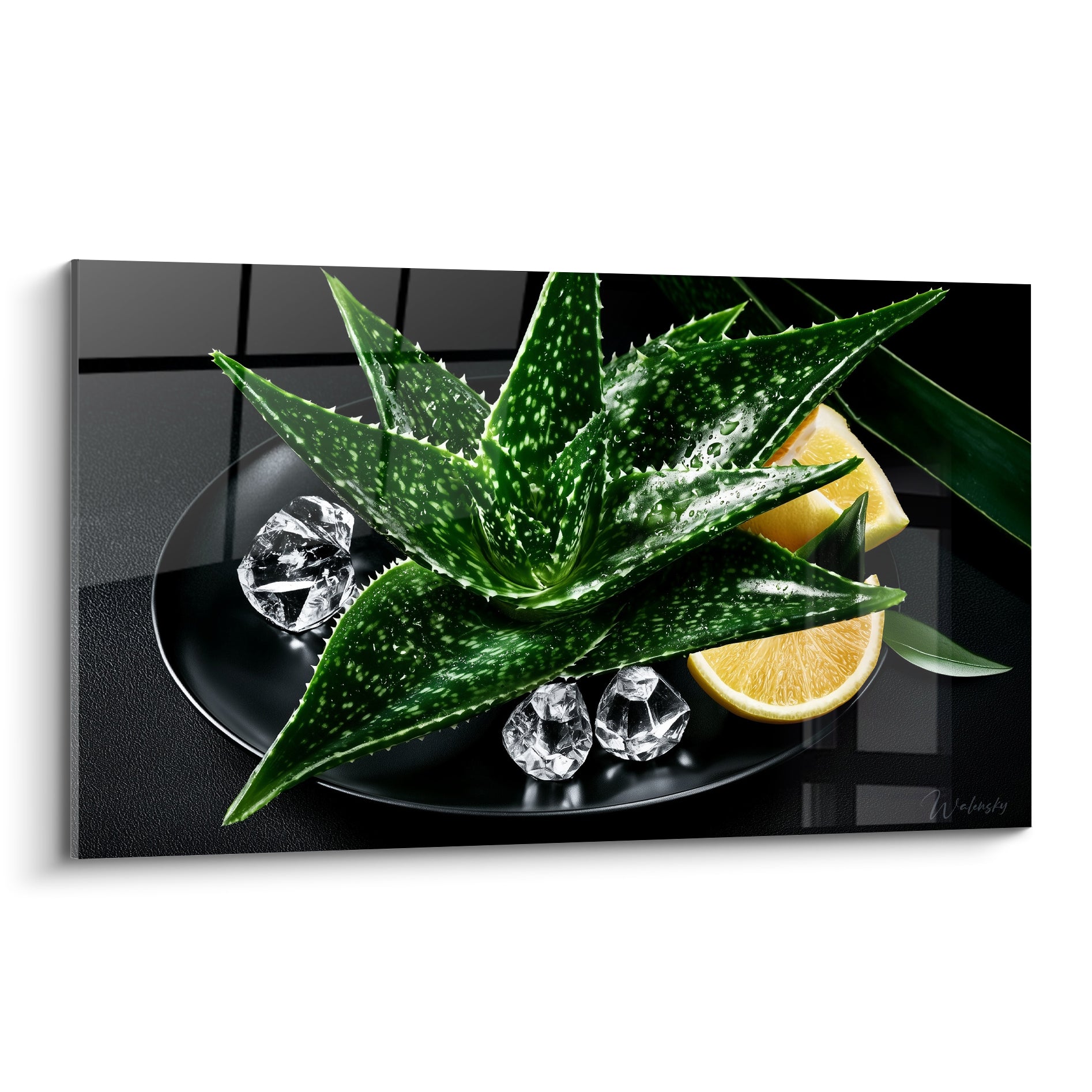Aloe vera vert et blanc sur assiette noire, agrumes jaunes et cristaux de glace transparents