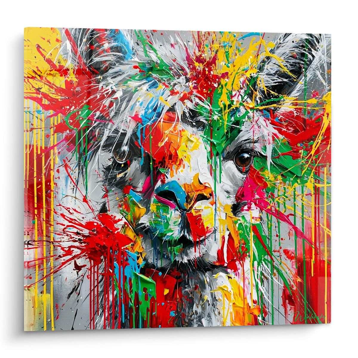 Alpaga au pelage éclaboussé de rouge, jaune et vert, regard brun intense sur fond gris