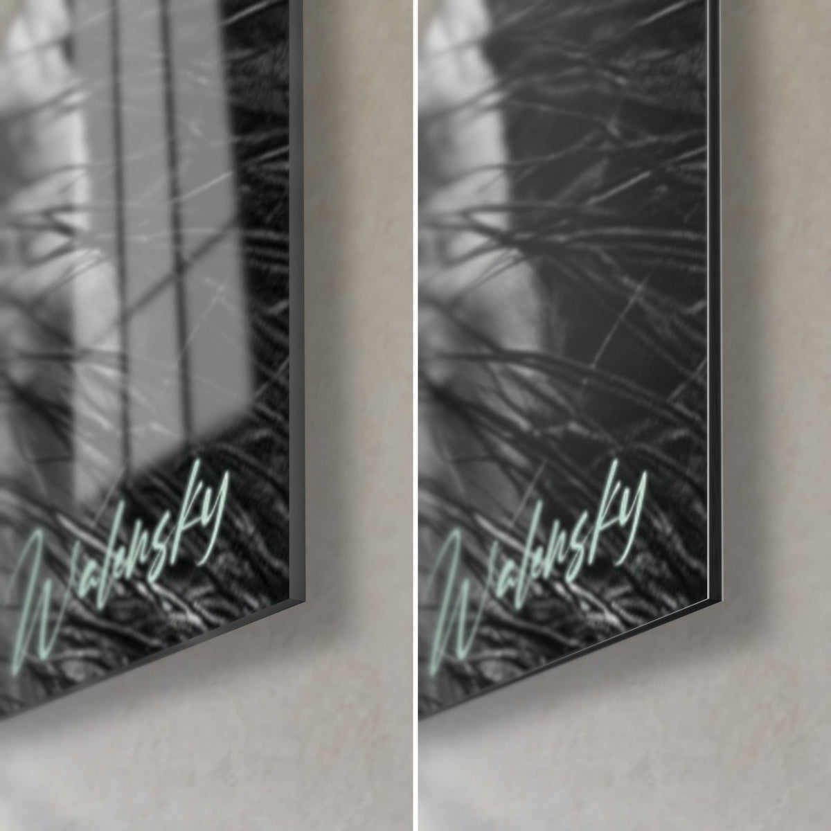 Tableau alpaga ivoire en noir et blanc, signature menthe Walensky au coin bas droit, verre brillant reflétant et Dibond mat noir, tranche 3 mm