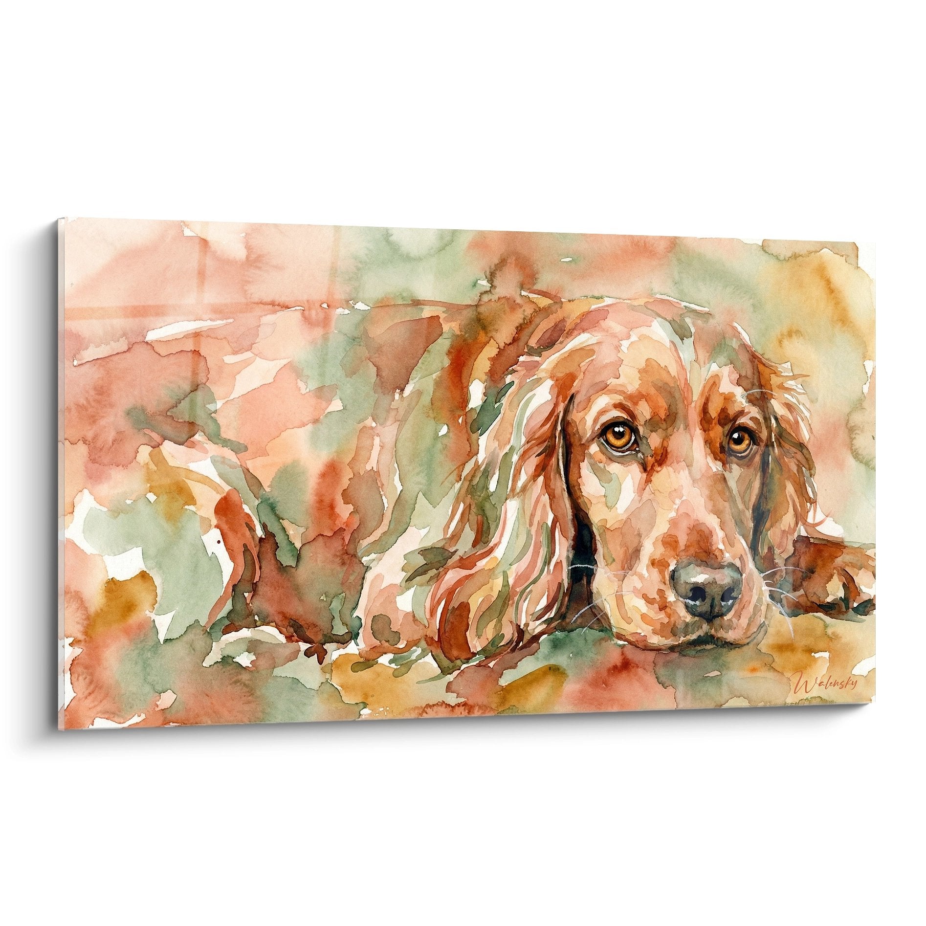 Portrait aquarelle cocker anglais tons dores verts regard contemplatif peinture artistique chien