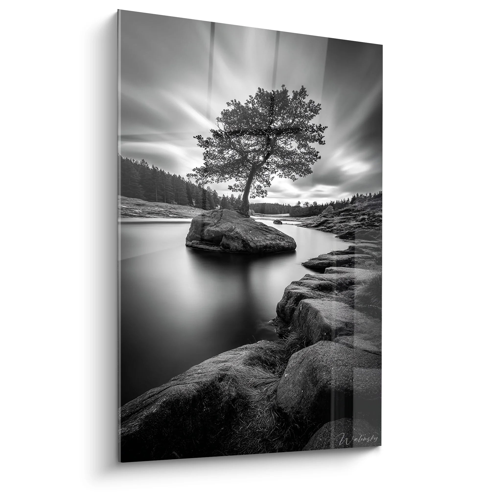 Tableau arbre solitaire sur rocher dans lac noir et blanc, art mural zen paysage nordique