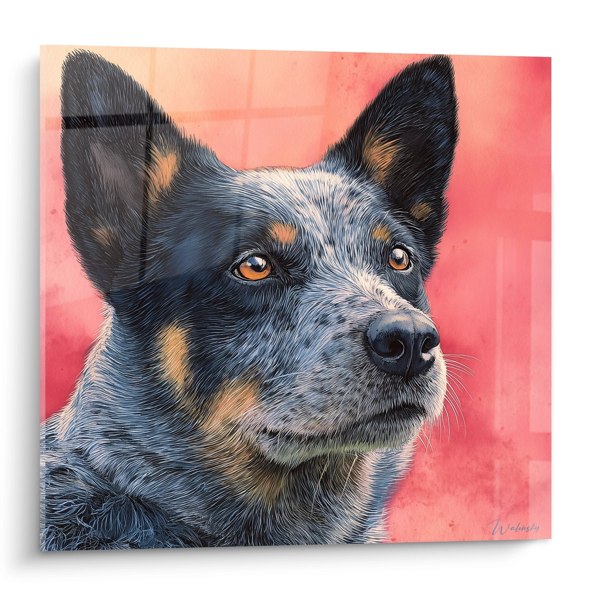 Tableau portrait Australian Cattle Dog bleu merle yeux ambrés fond corail réalisme contemporain